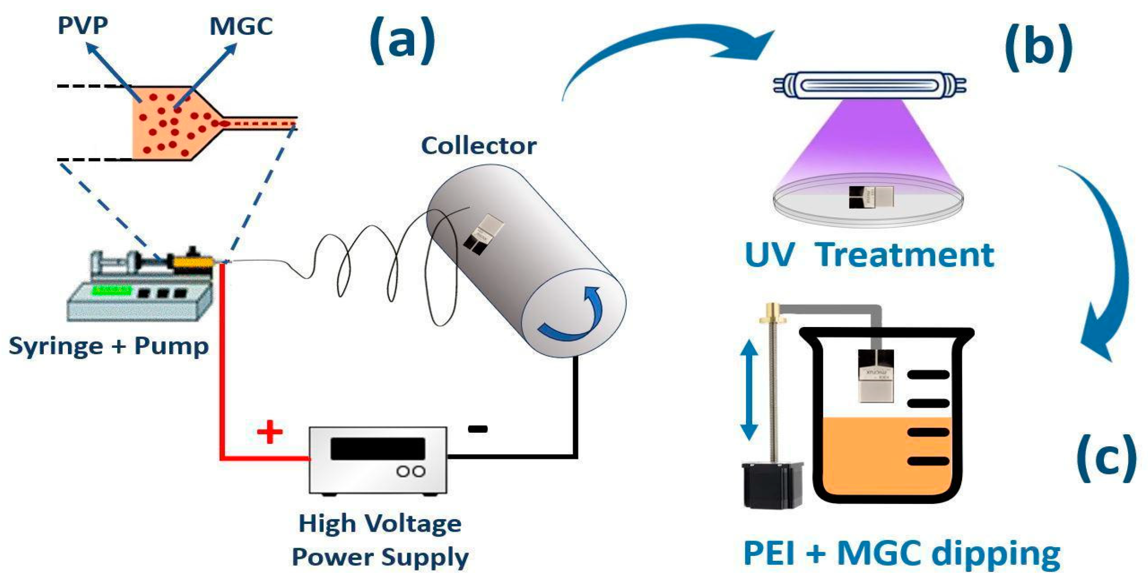 Preprints 100419 g001