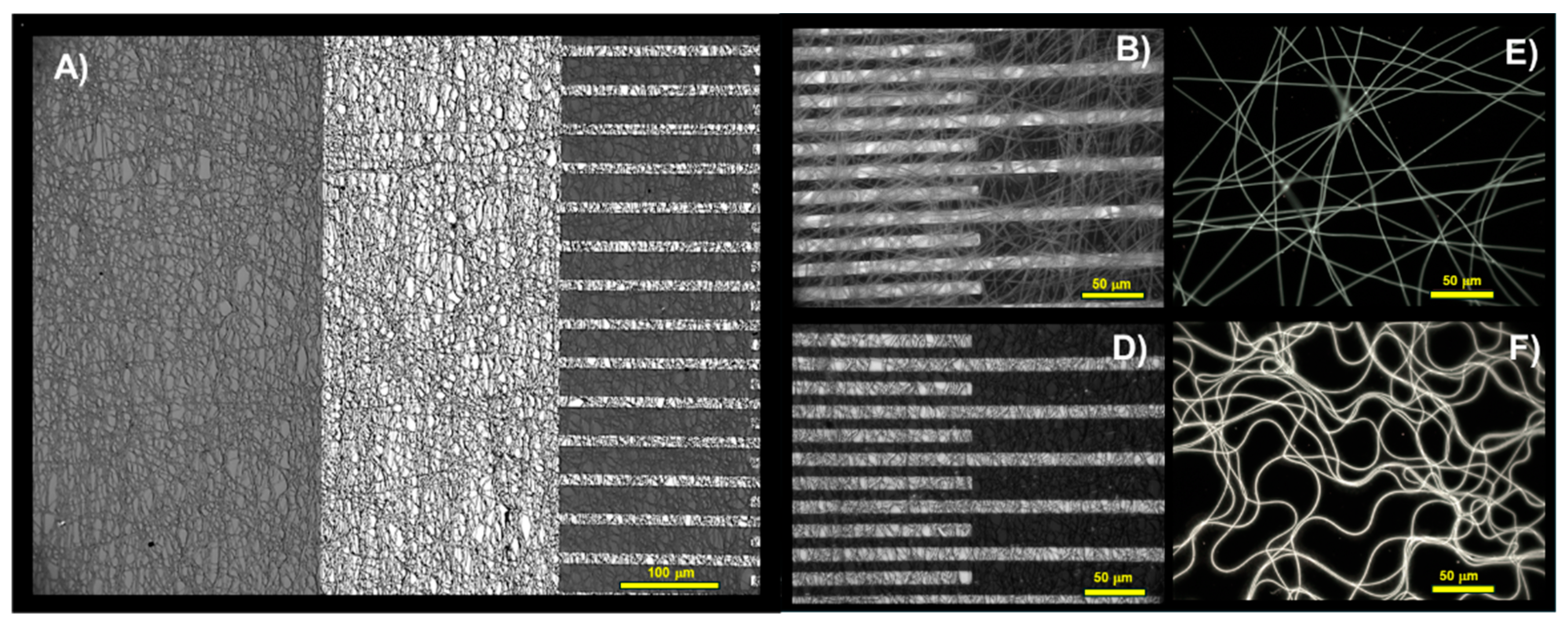 Preprints 100419 g004