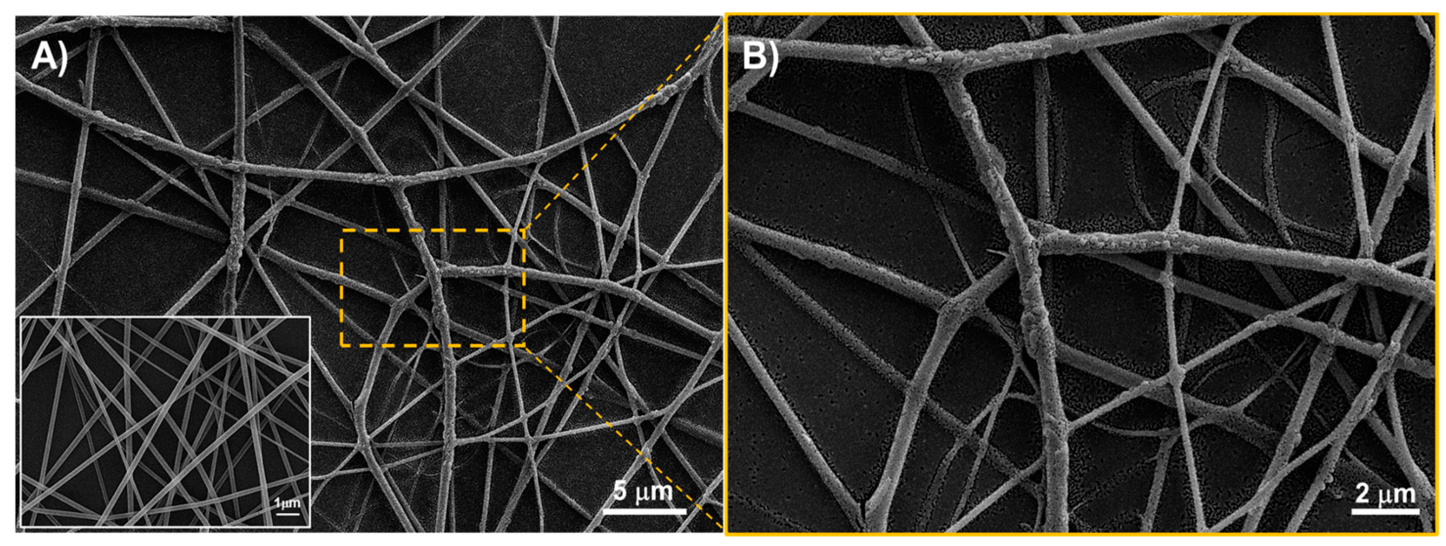 Preprints 100419 g005
