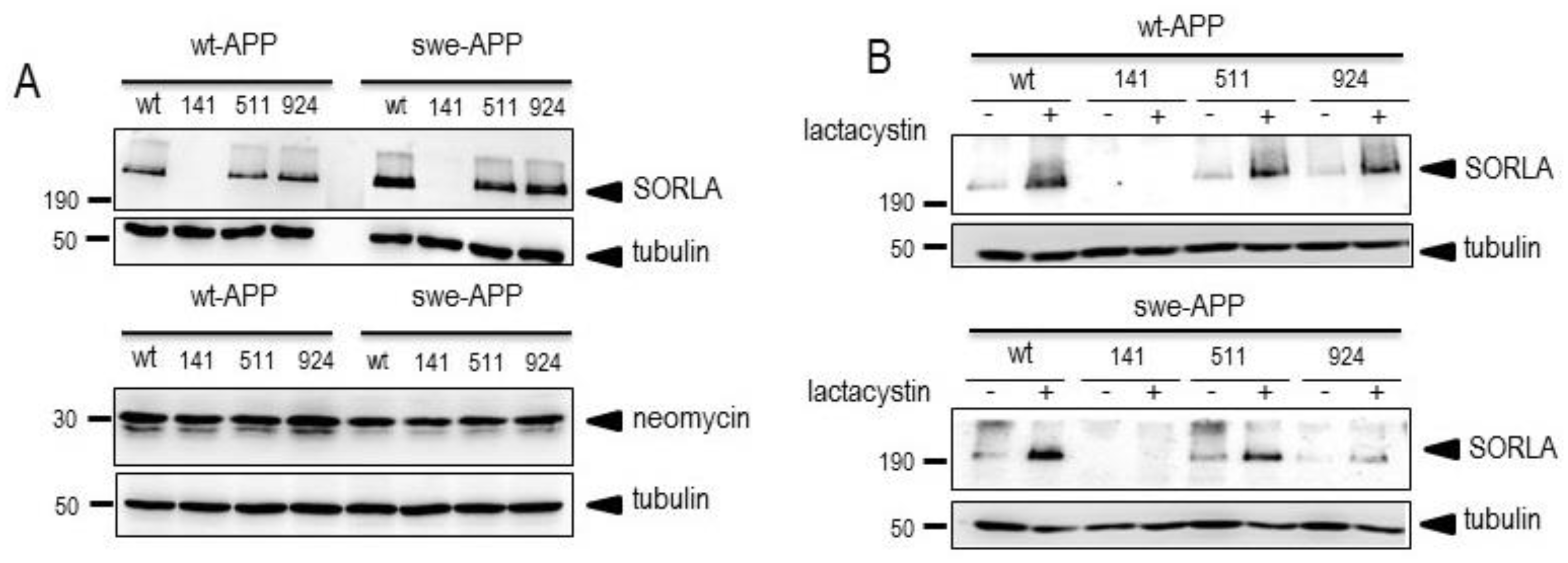 Preprints 86608 g001