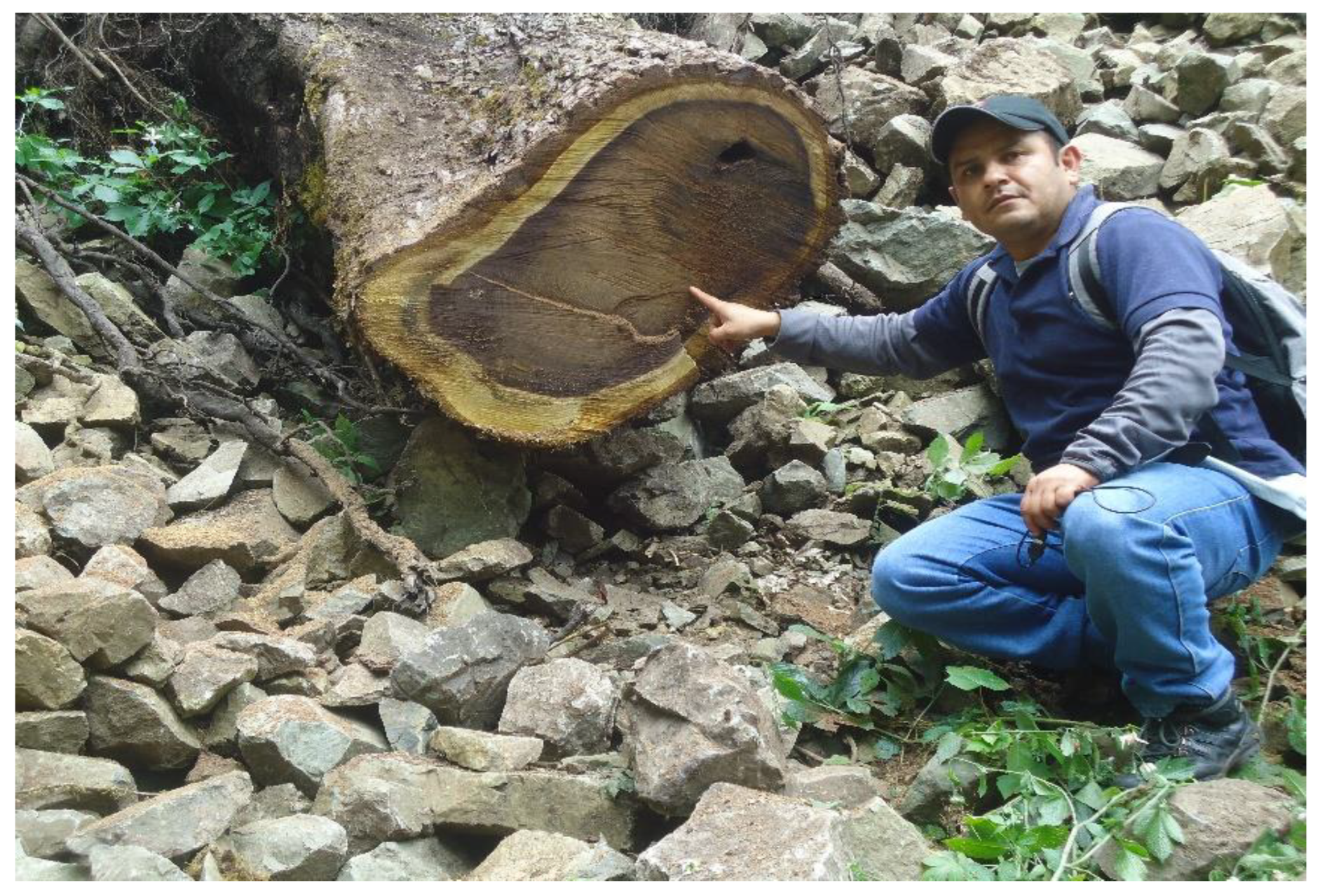 Preprints 146591 g001