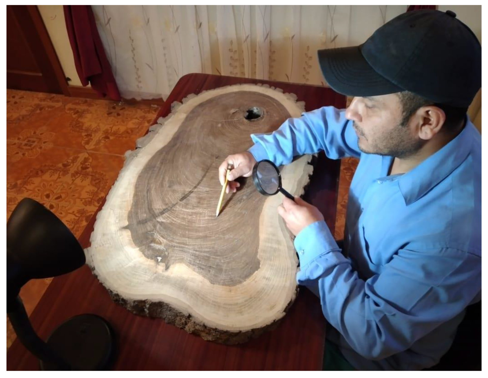 Preprints 146591 g002