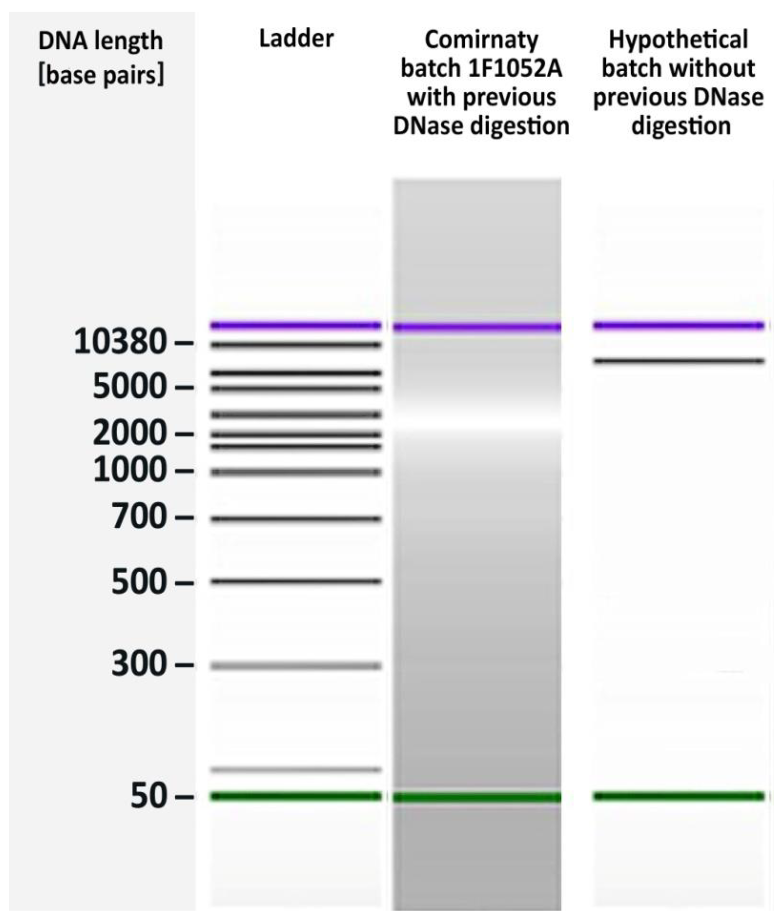 Preprints 151992 g001