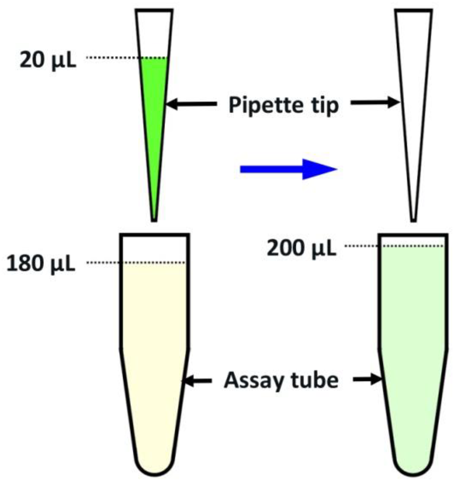 Preprints 151992 g004