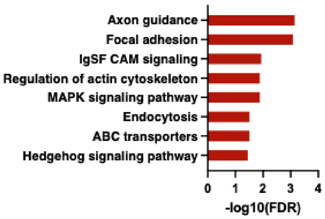 Preprints 229137 g011