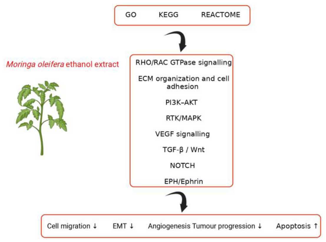 Preprints 229137 g012
