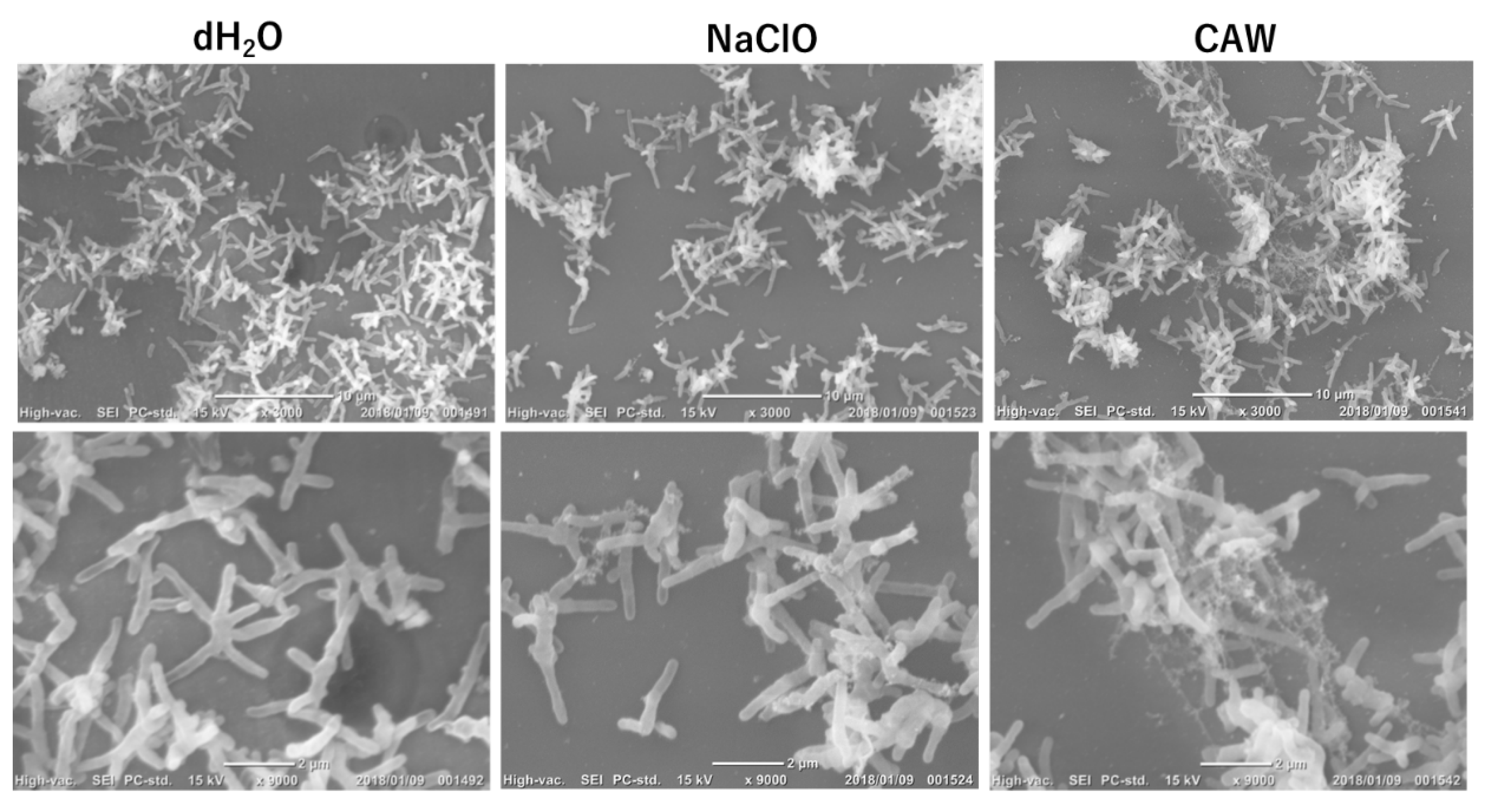 Preprints 197119 g003