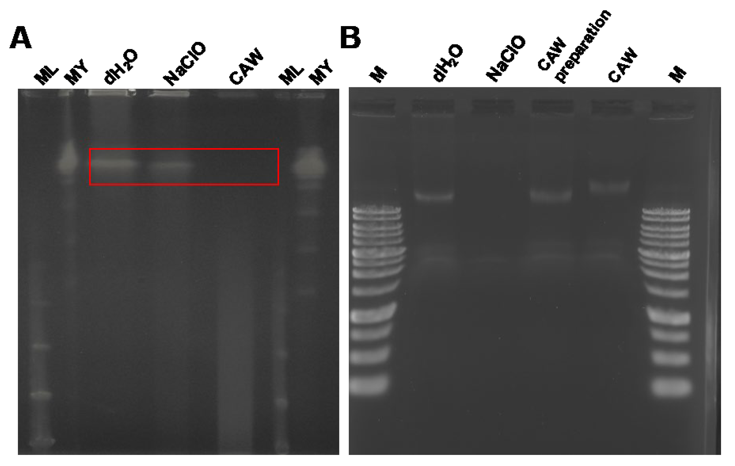 Preprints 197119 g004