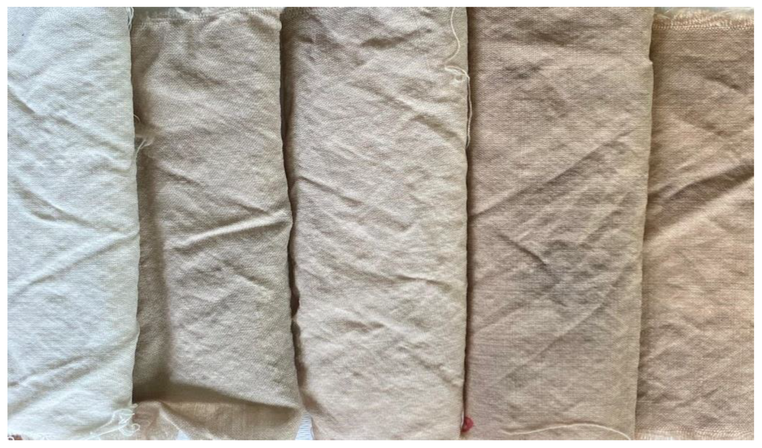 Preprints 189074 g005