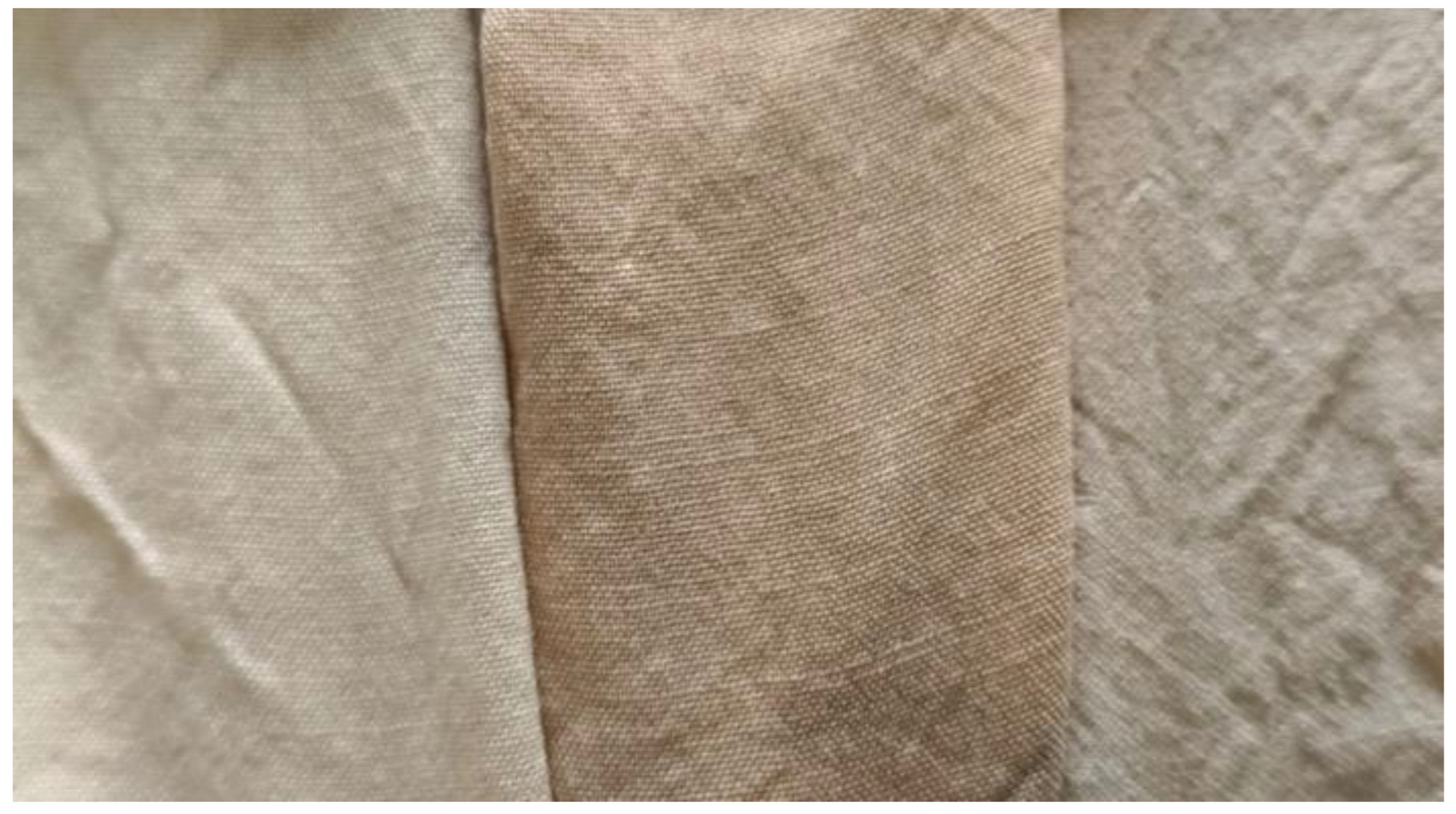 Preprints 189074 g006