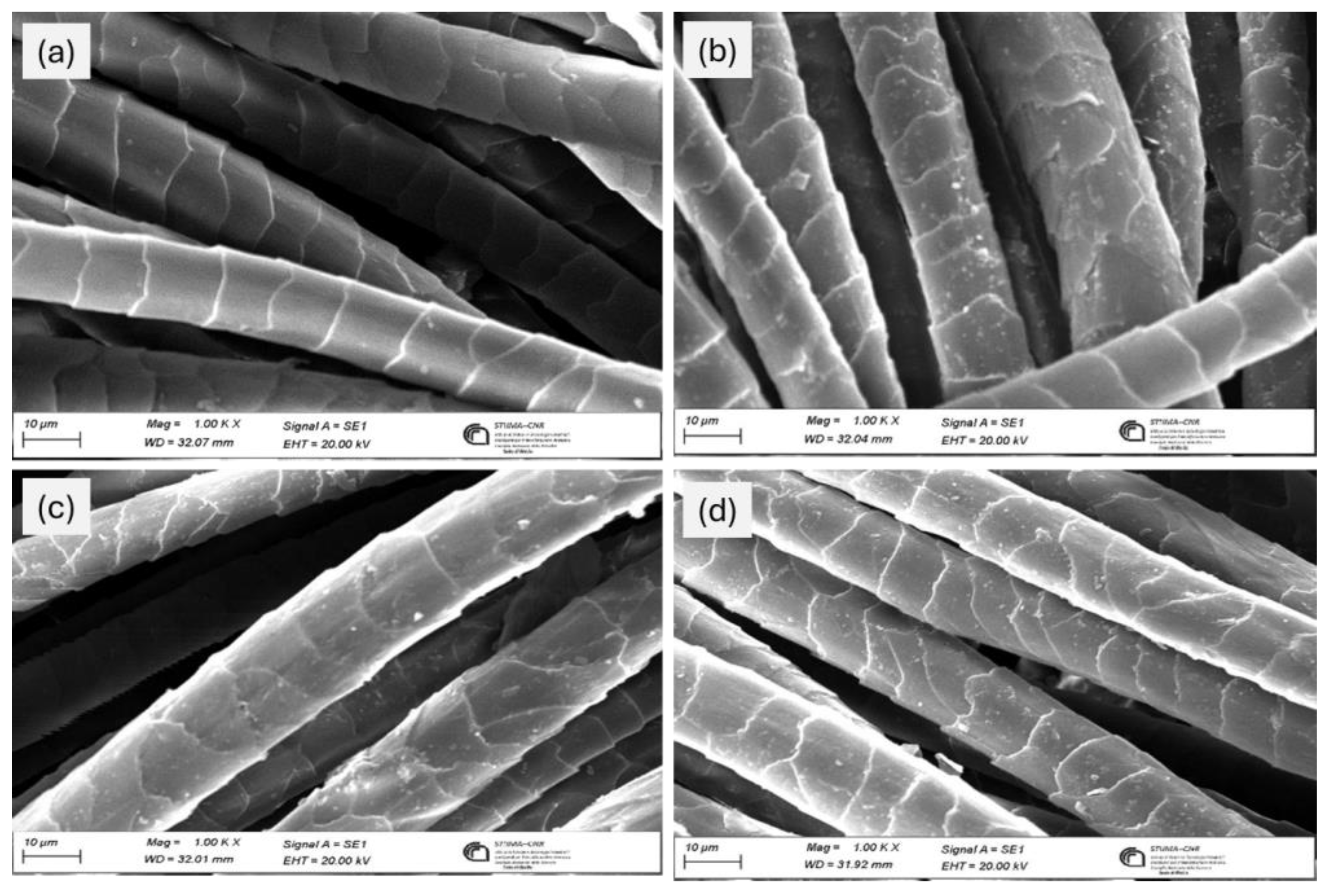 Preprints 189074 g008