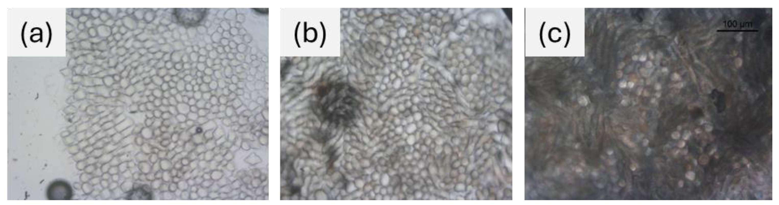 Preprints 189074 g009