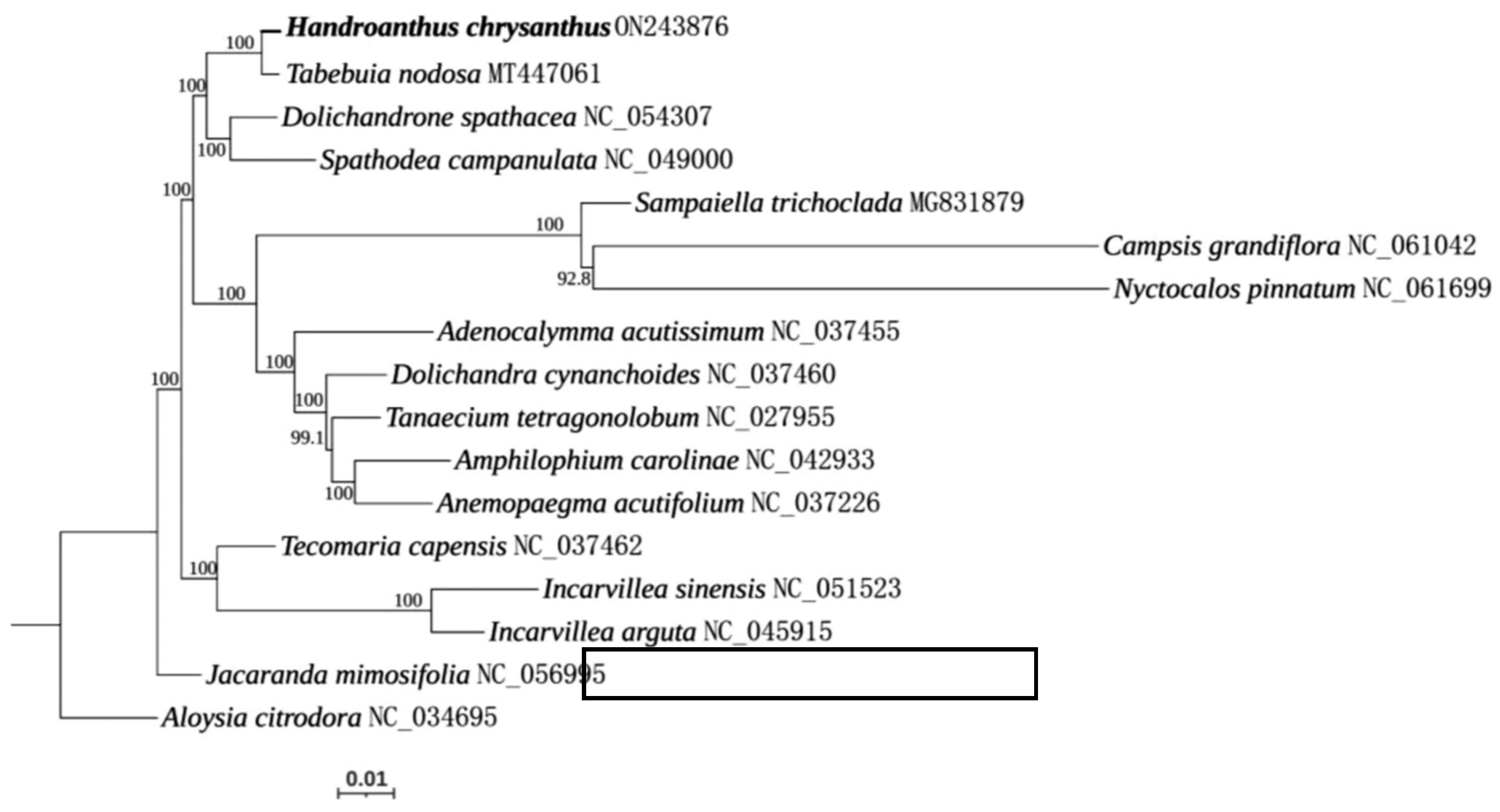 Preprints 147704 g001