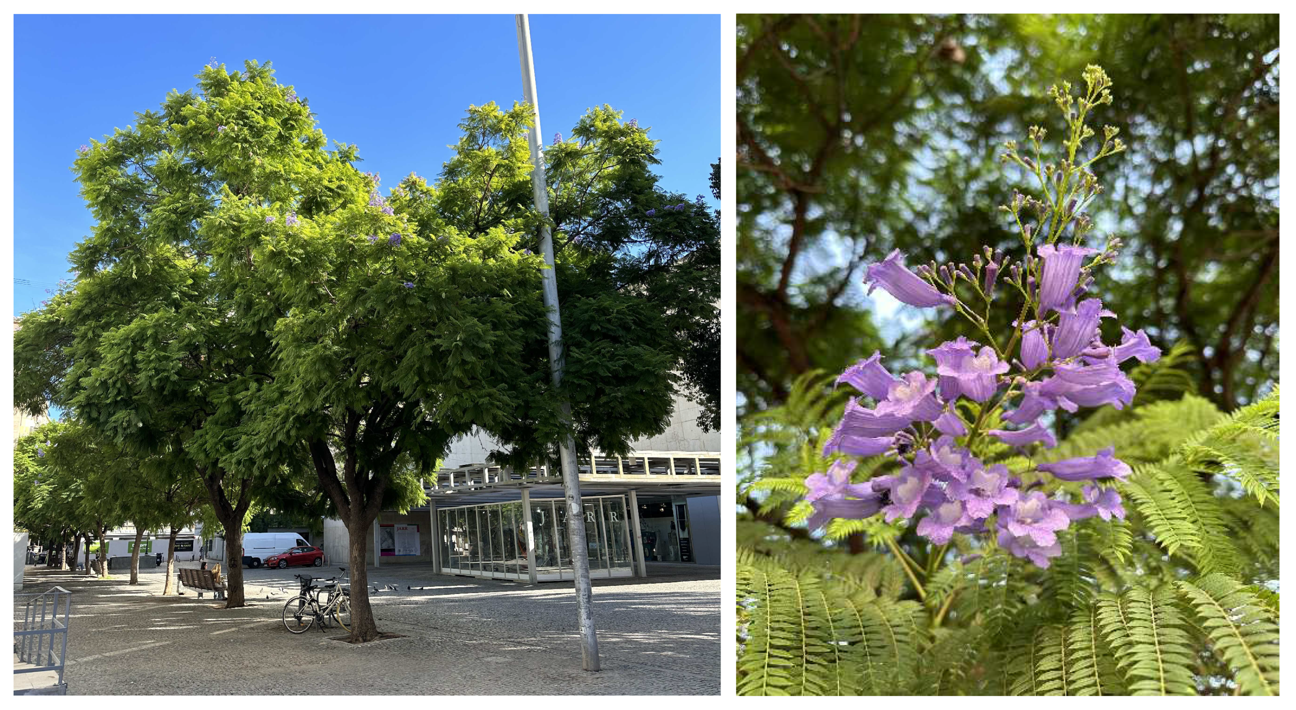 Preprints 147704 g002