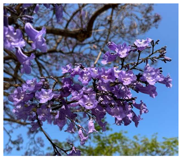 Preprints 147704 i008