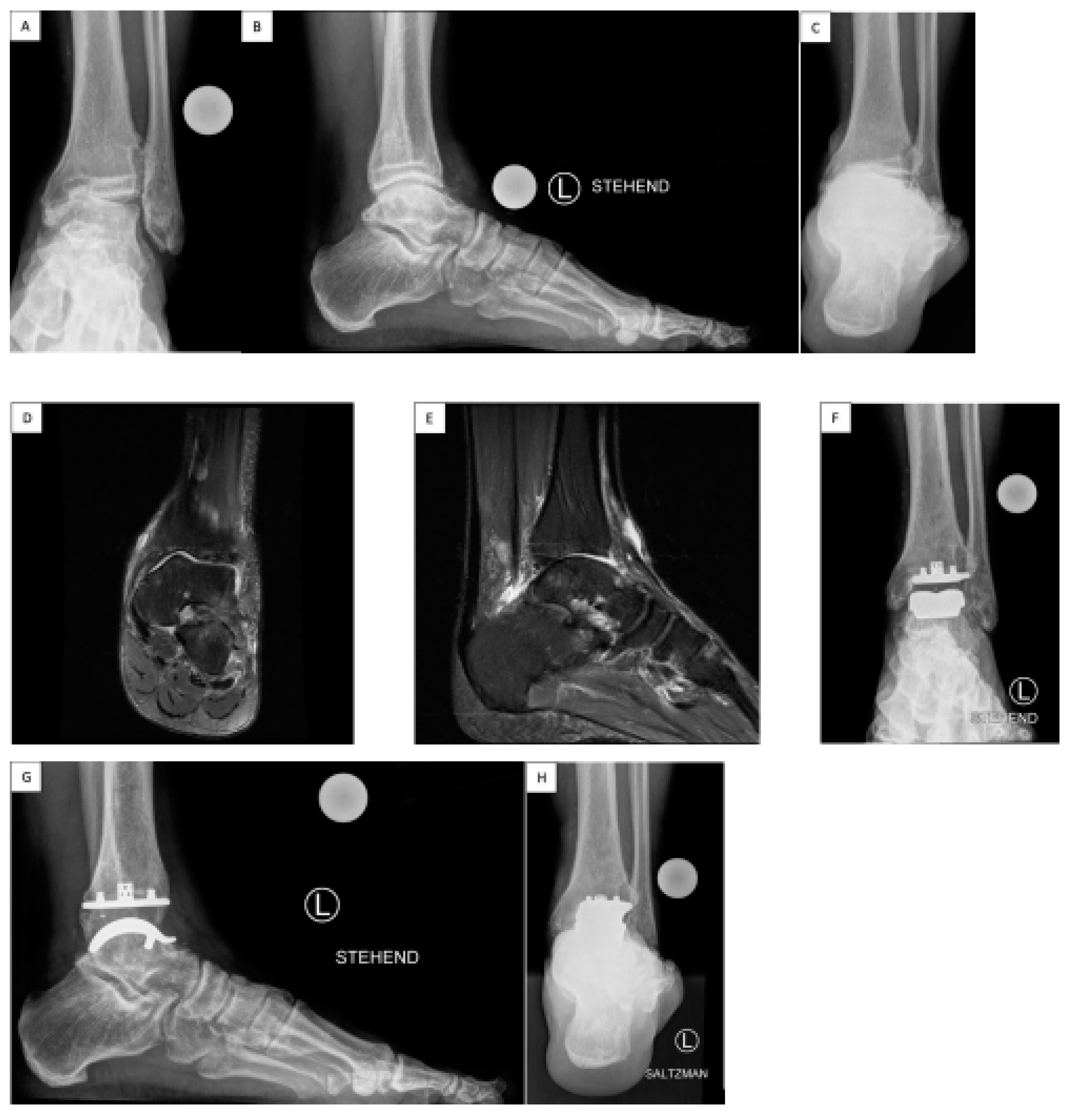 Preprints 138282 g001