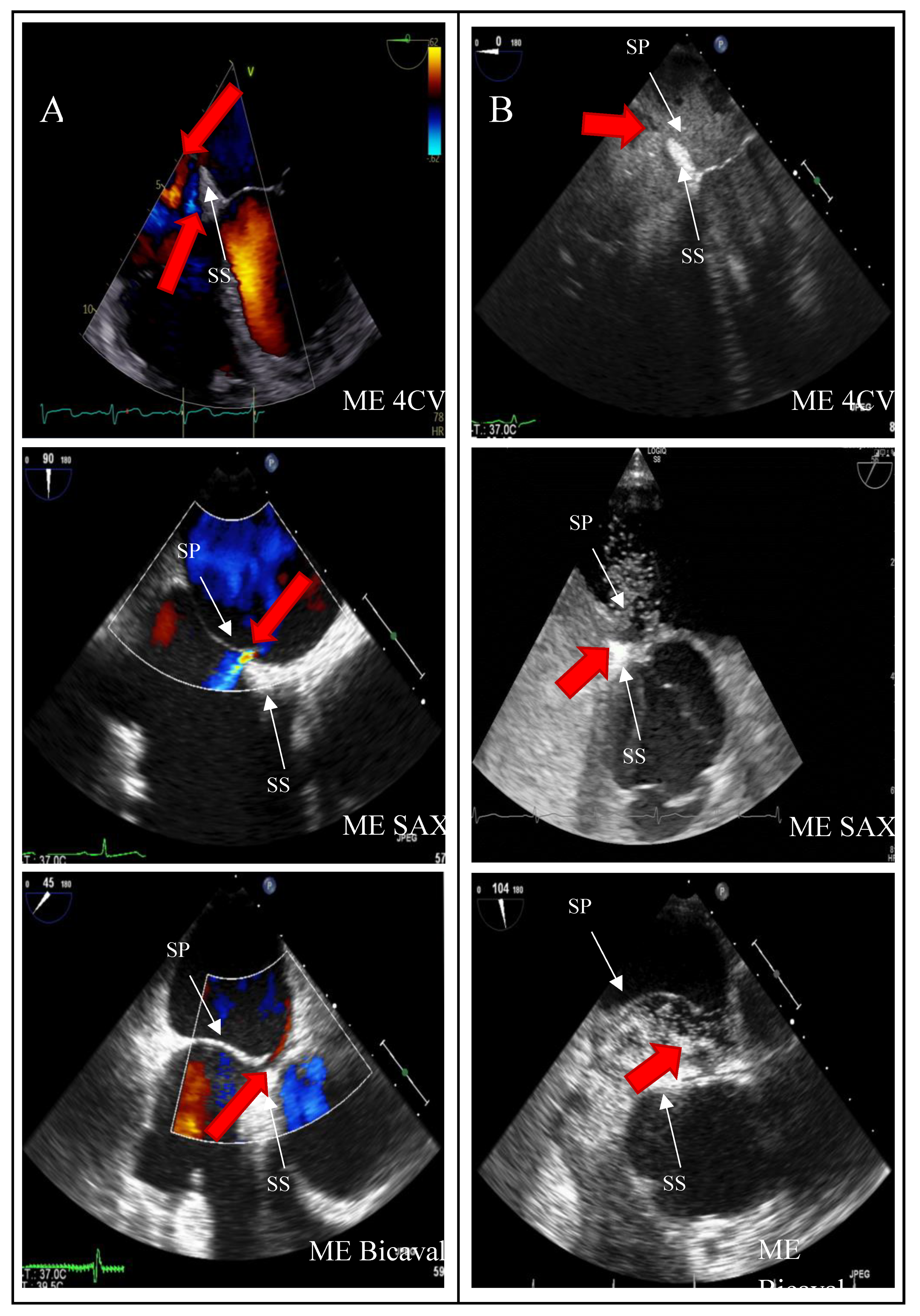 Preprints 173386 g004