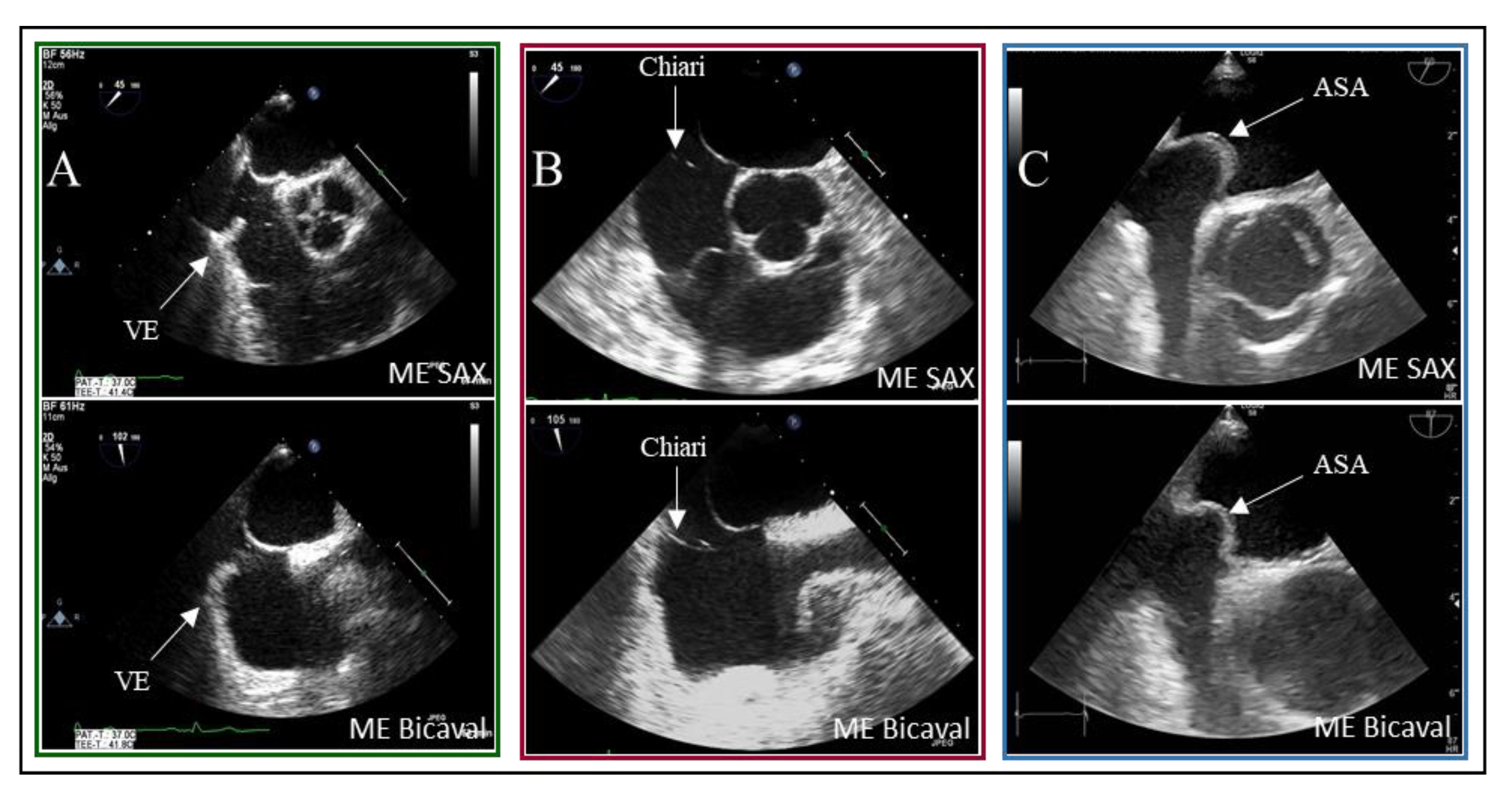Preprints 173386 g005