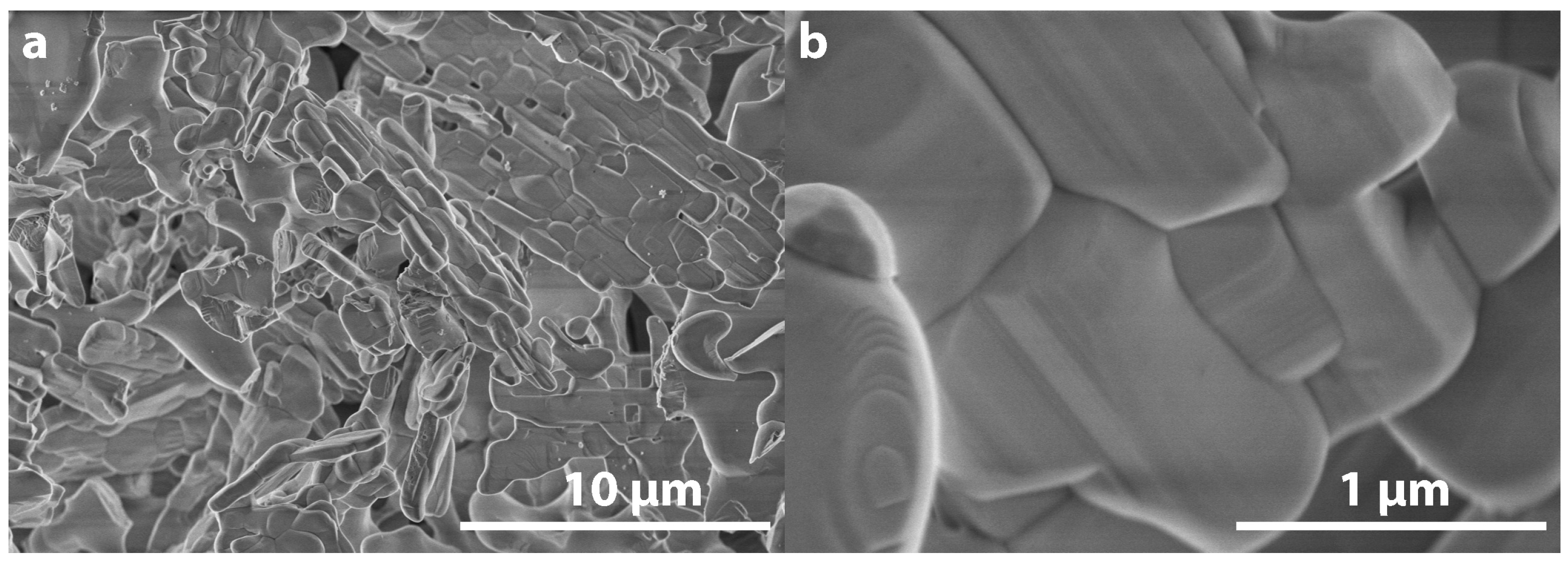 Preprints 100518 g002