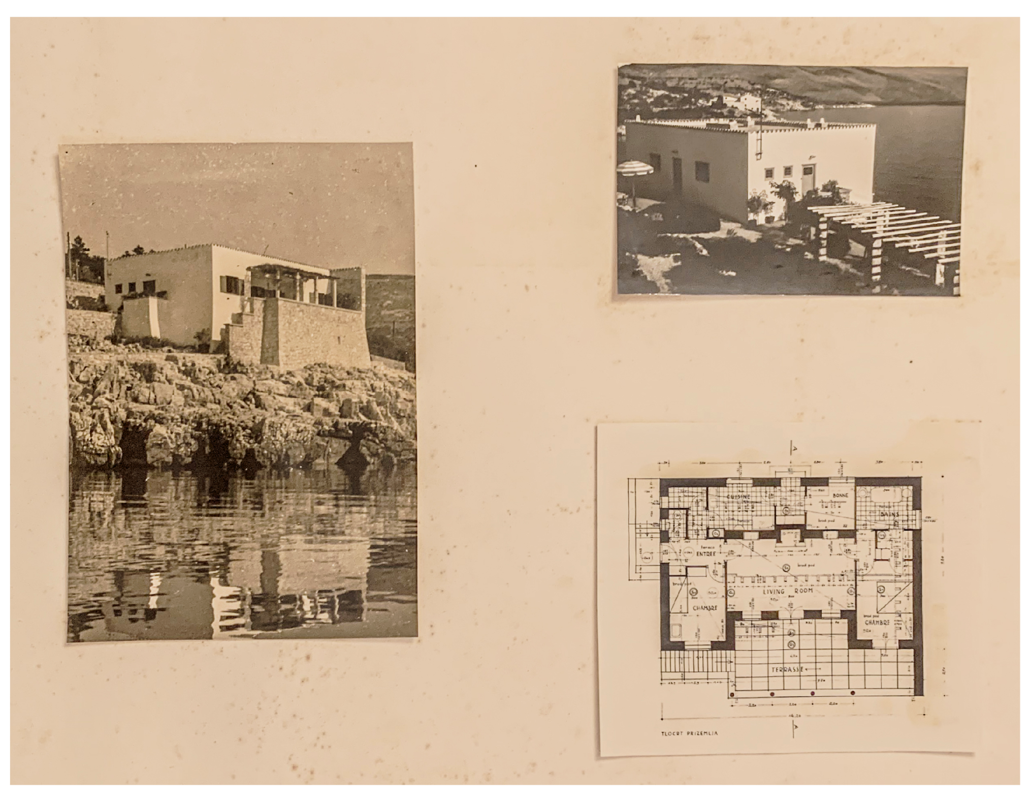 Preprints 195050 g007