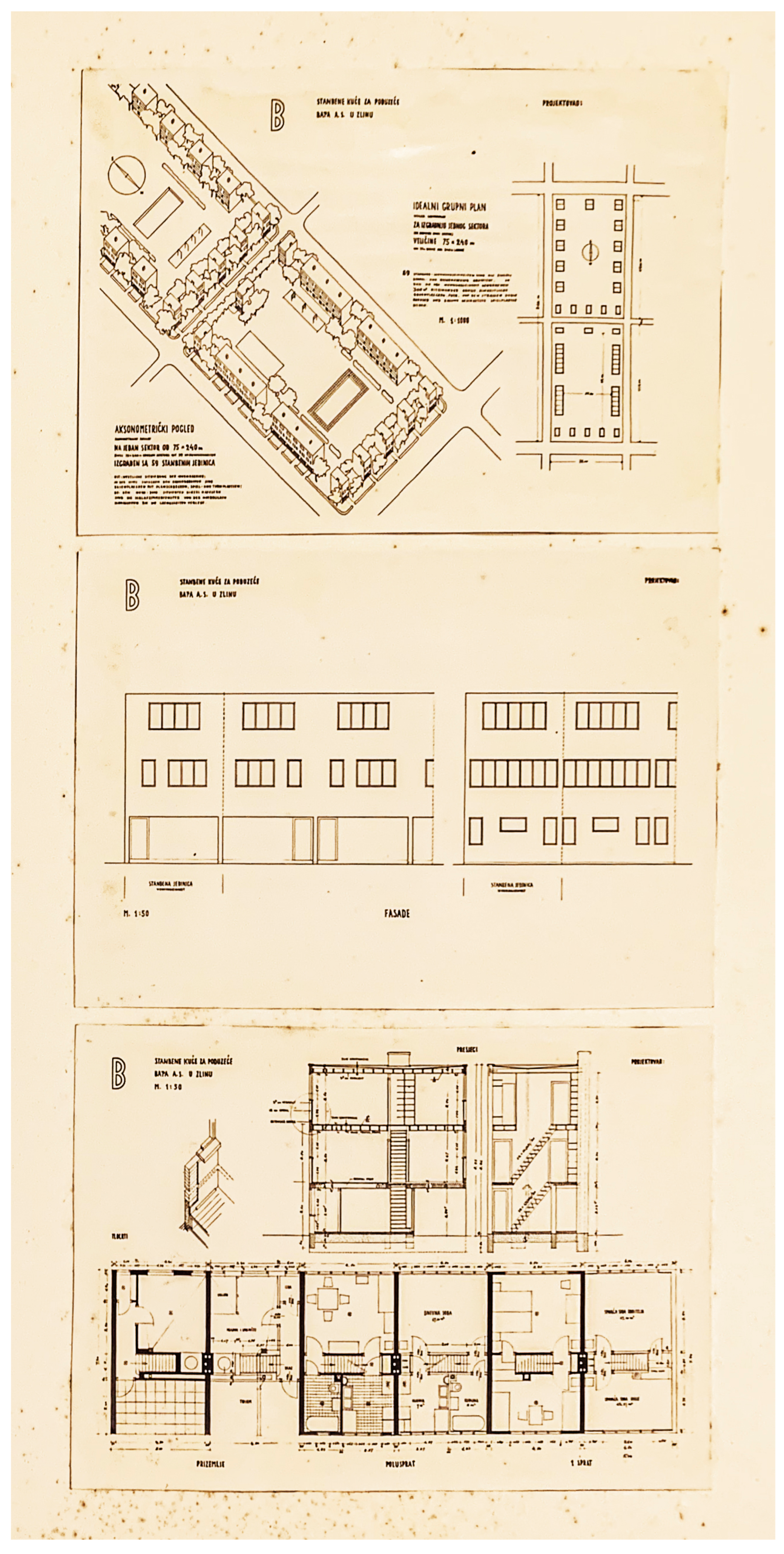 Preprints 195050 g019