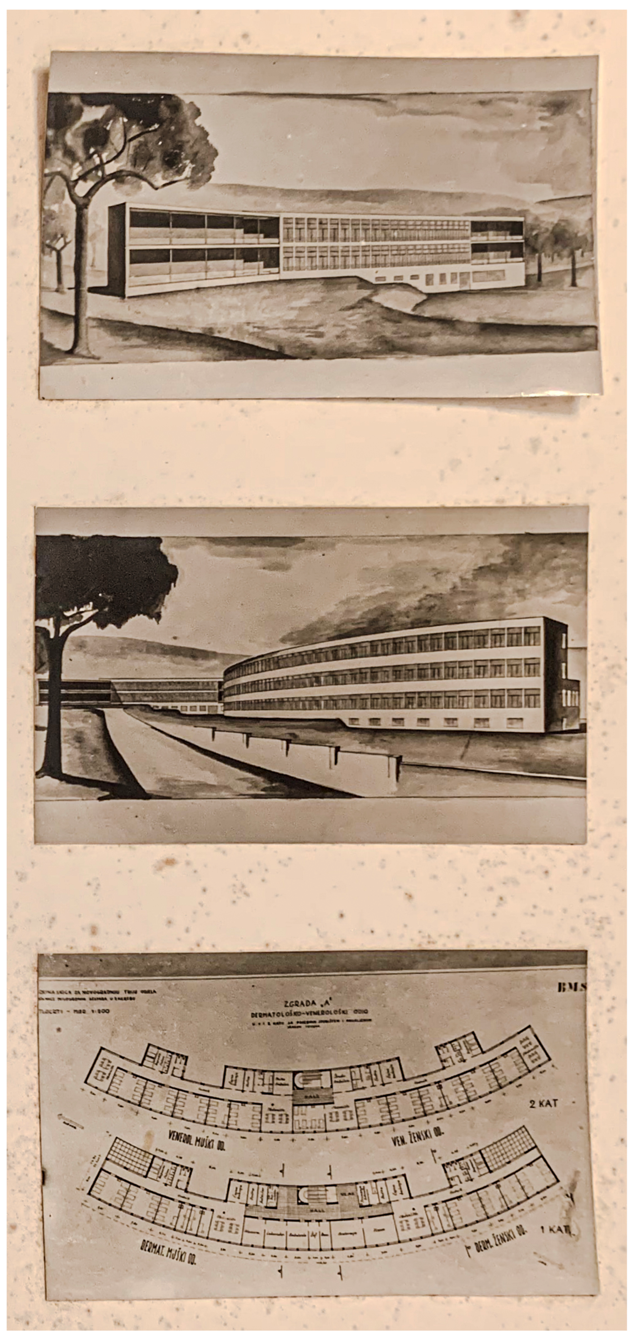 Preprints 195050 g021