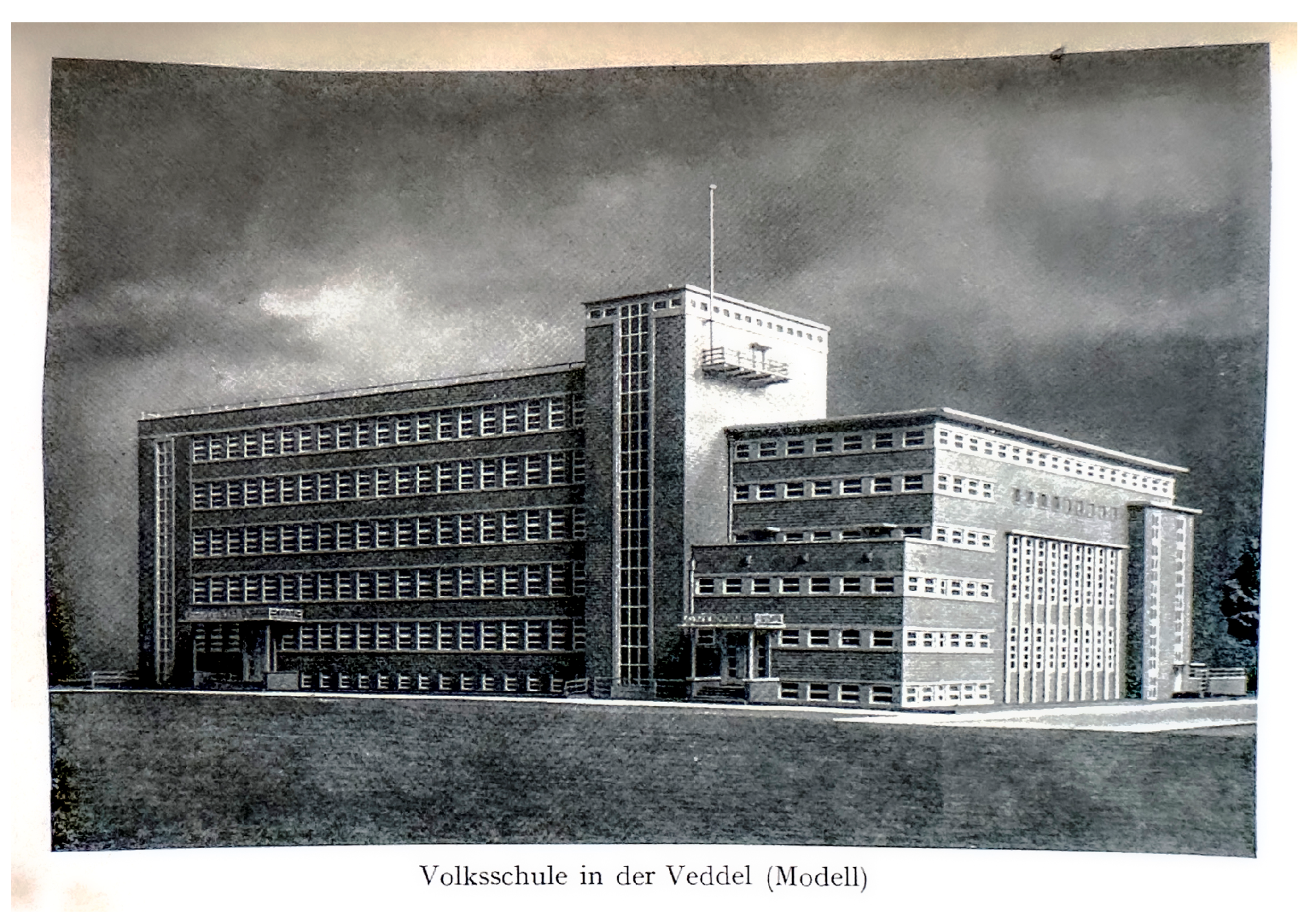 Preprints 195050 g024