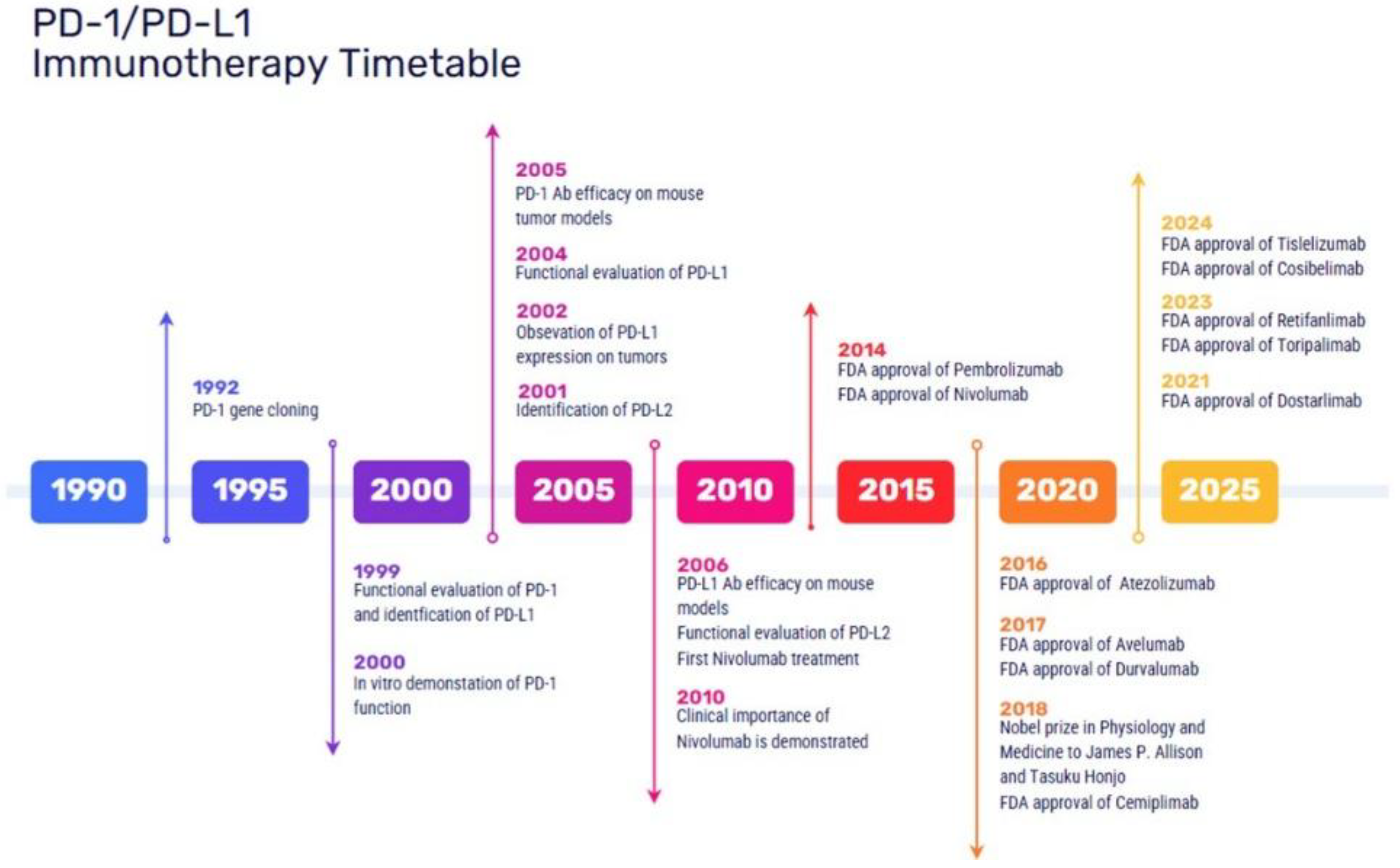 Preprints 165043 g001
