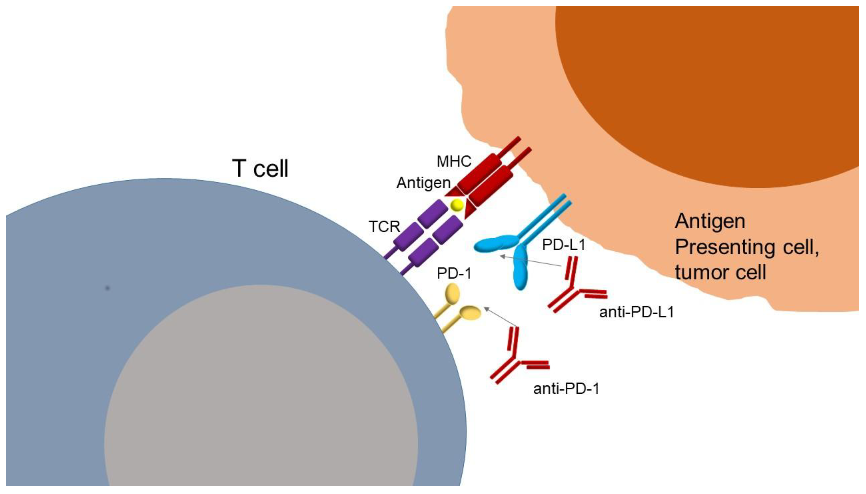 Preprints 165043 g002