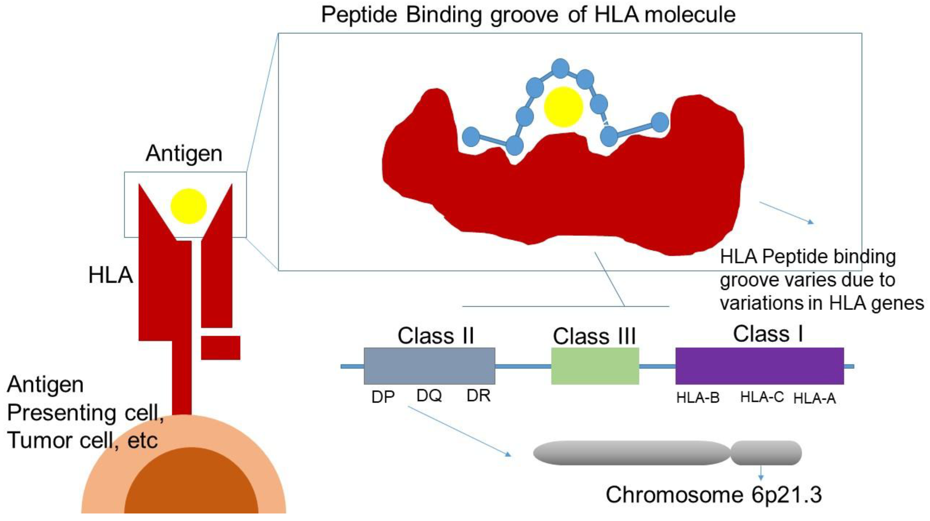 Preprints 165043 g003