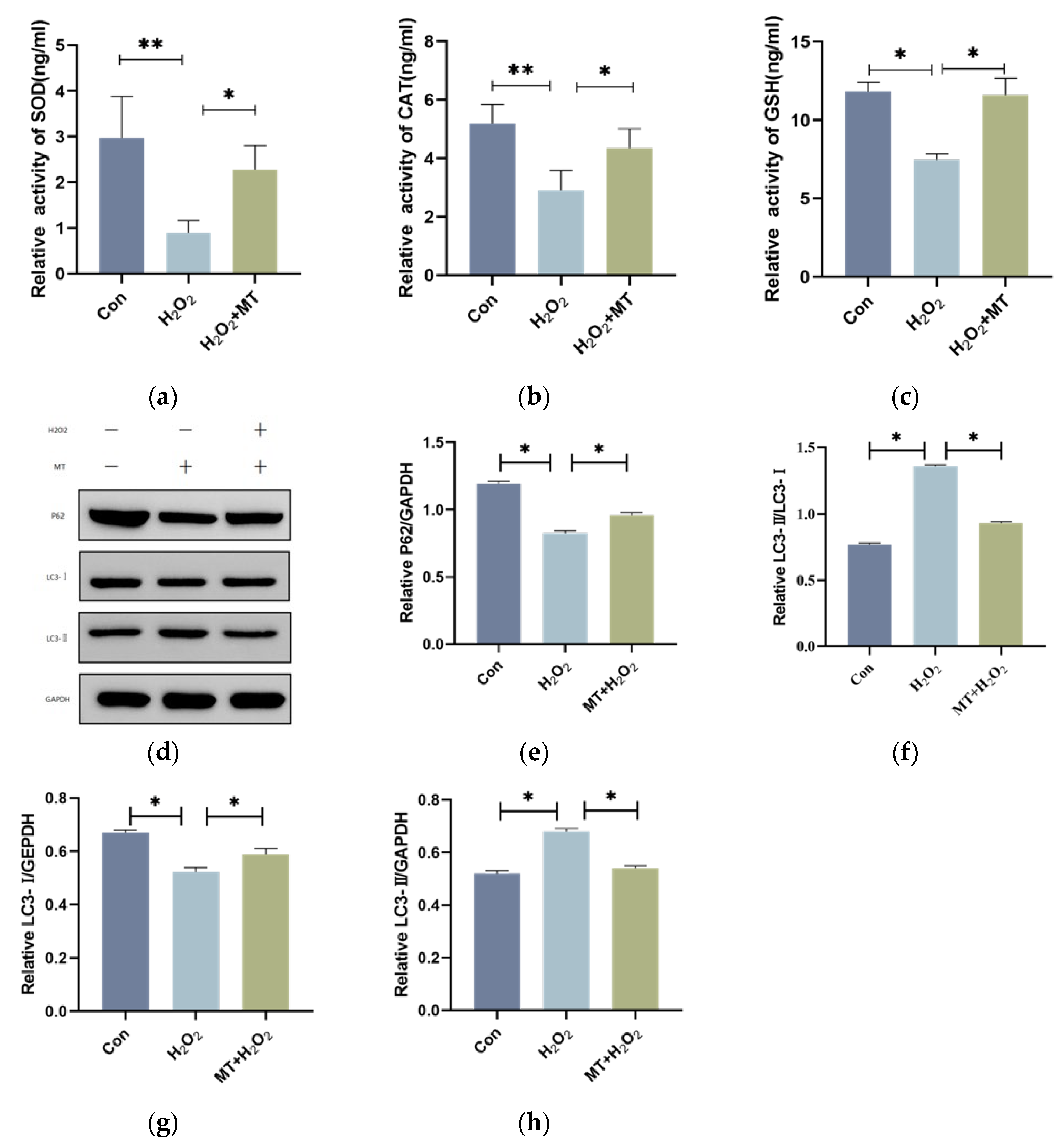 Preprints 150876 g003
