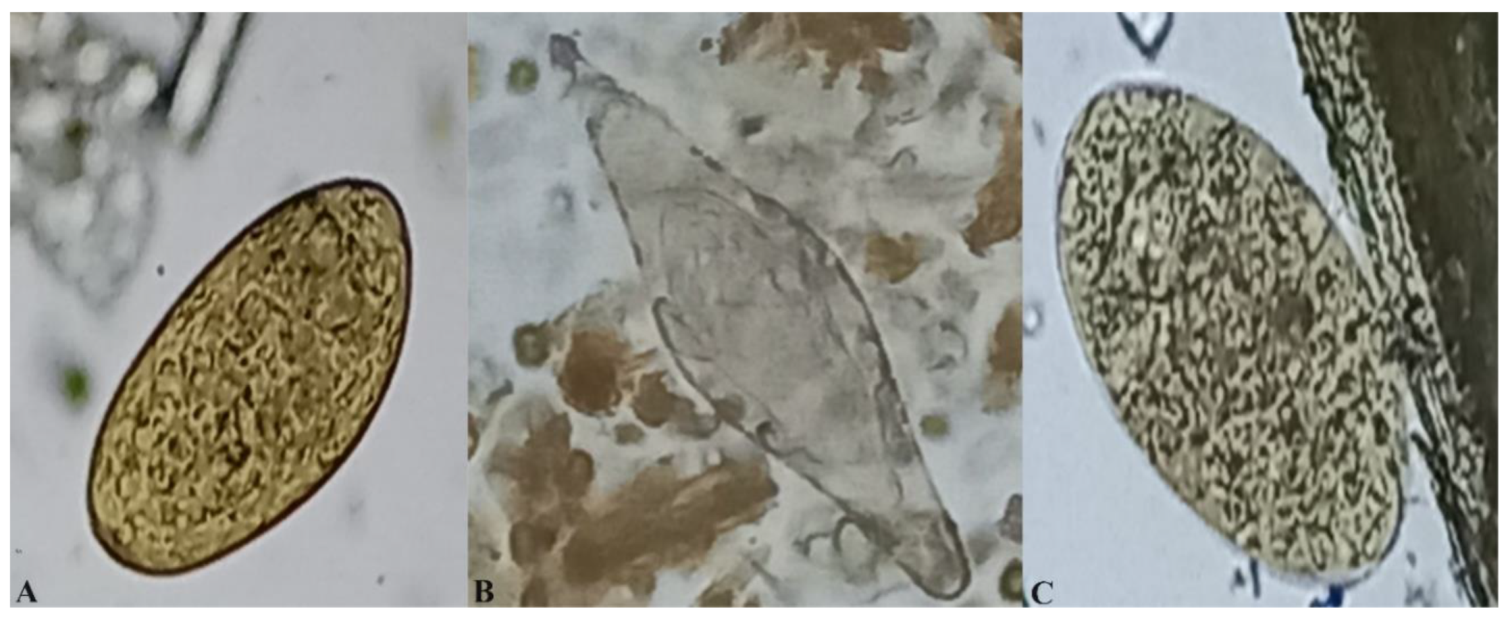 Preprints 115632 g002