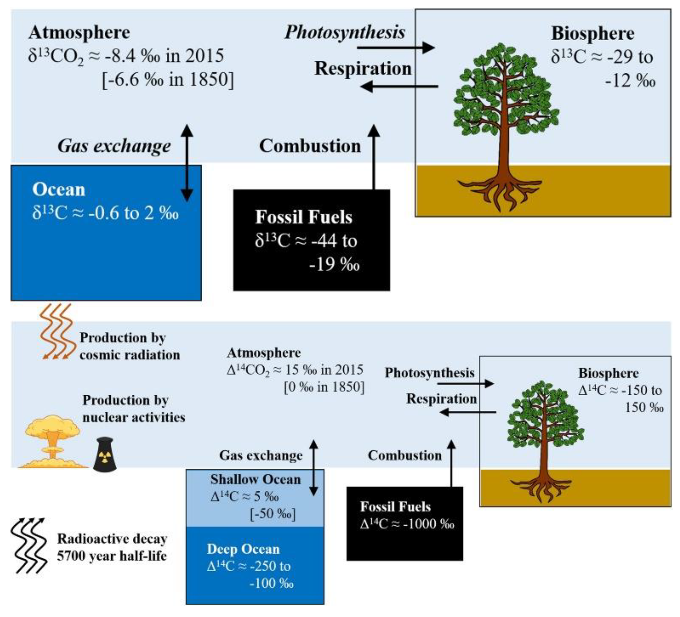 Preprints 142860 g001
