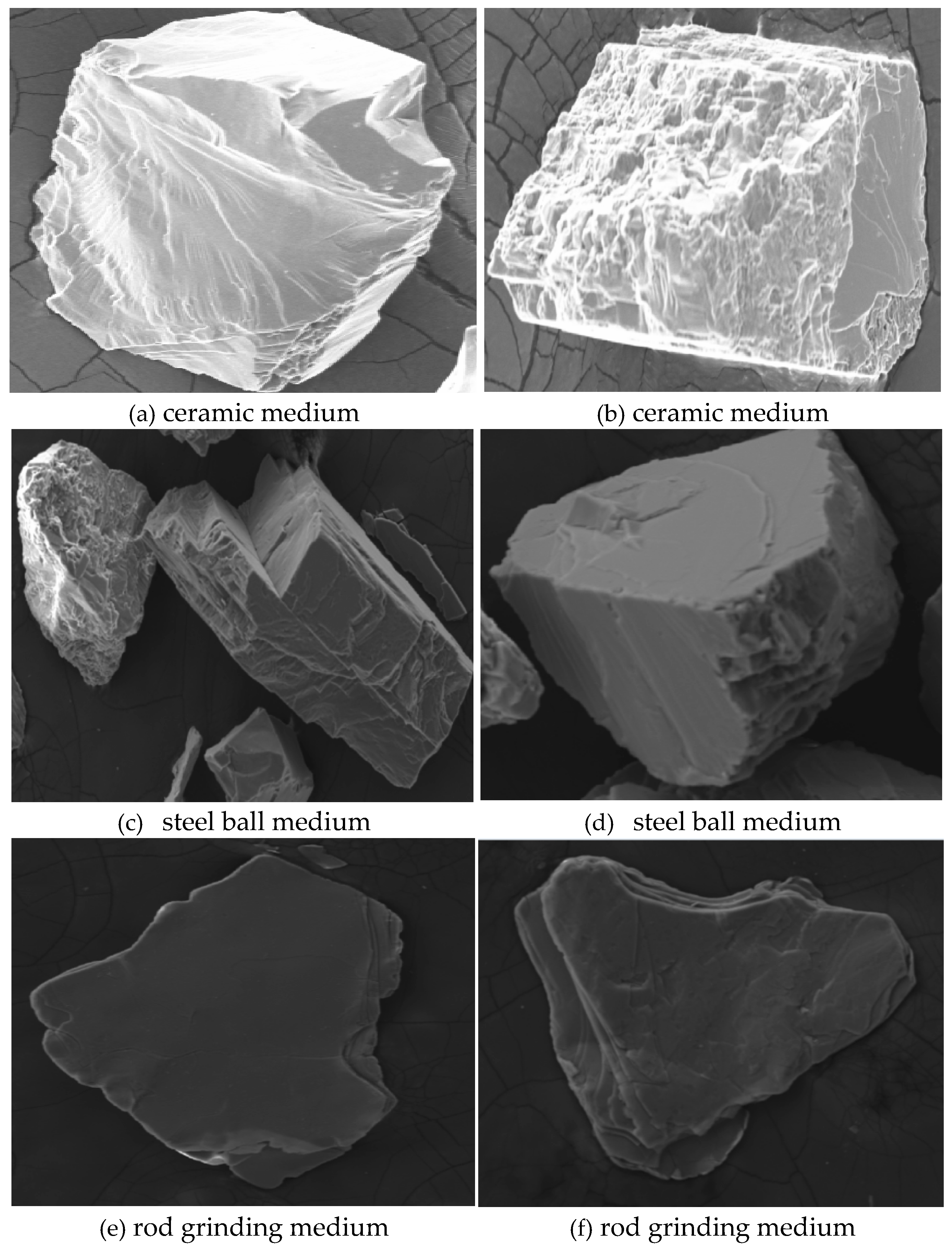 Preprints 158817 g002