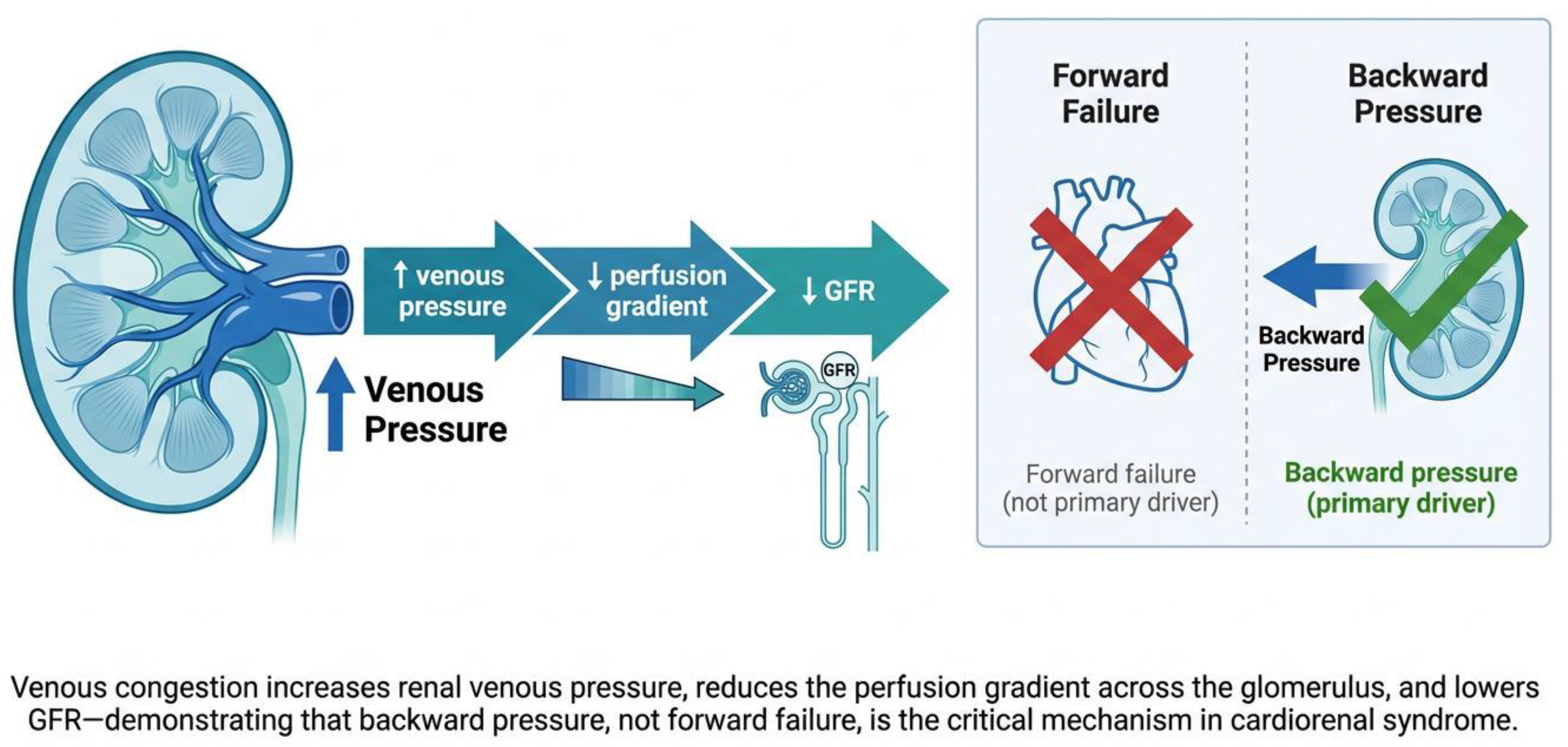 Preprints 209064 g002 Preprints 209064 g002
