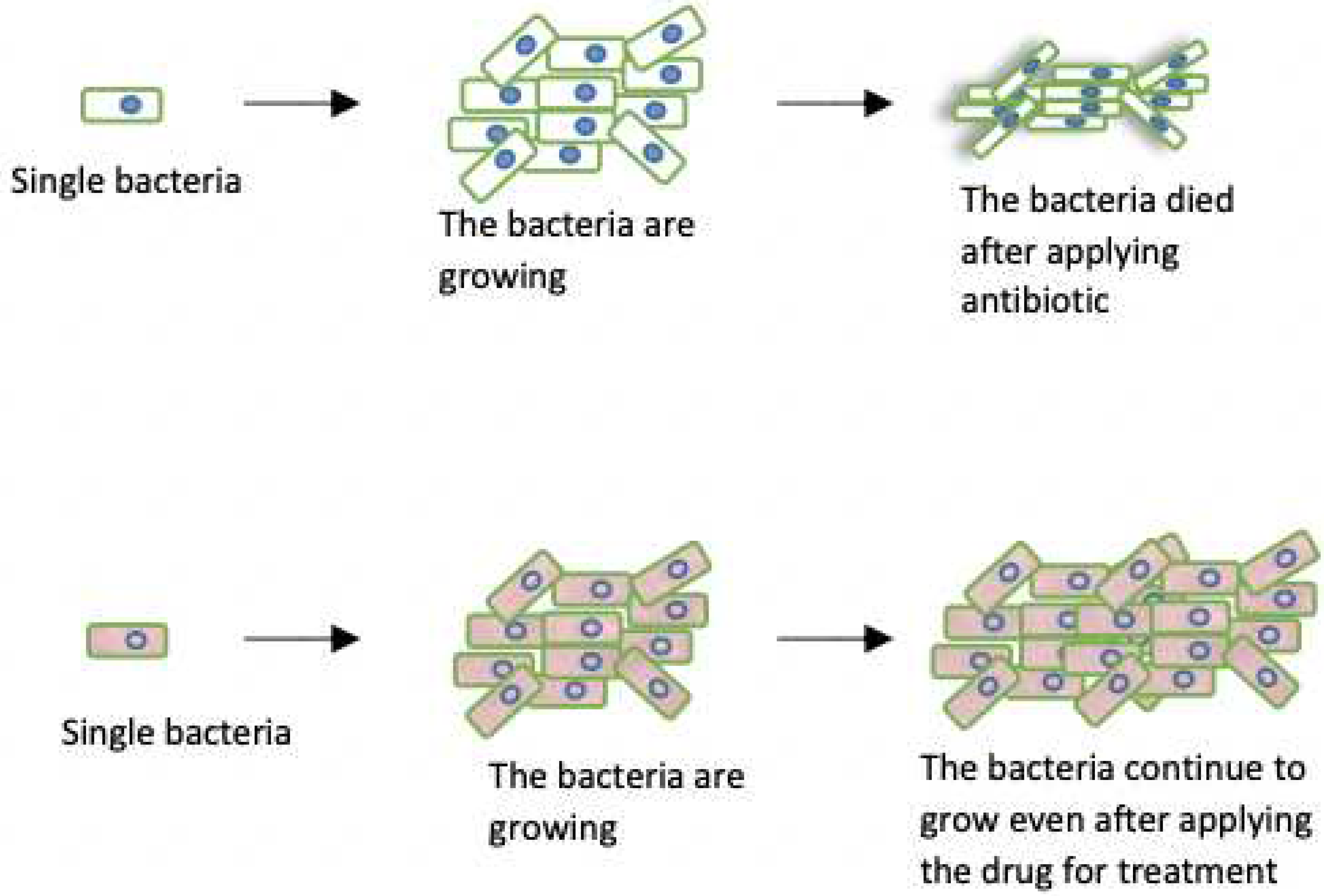 Preprints 93392 g002