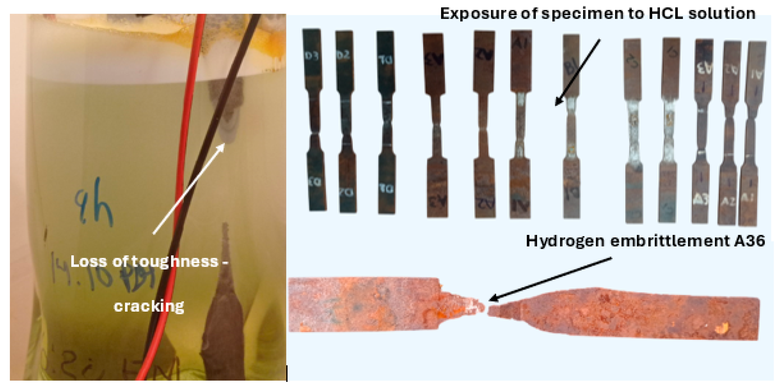 Preprints 178449 g005