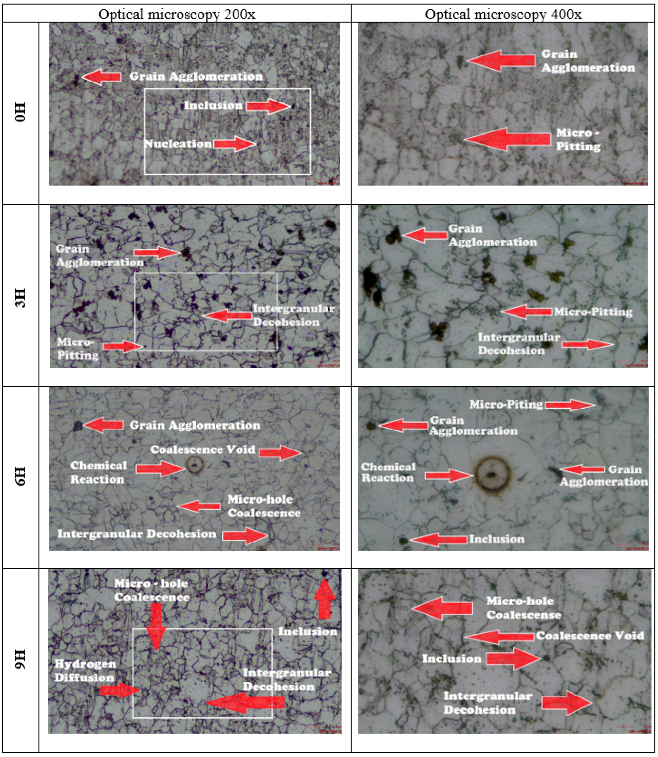Preprints 178449 g012