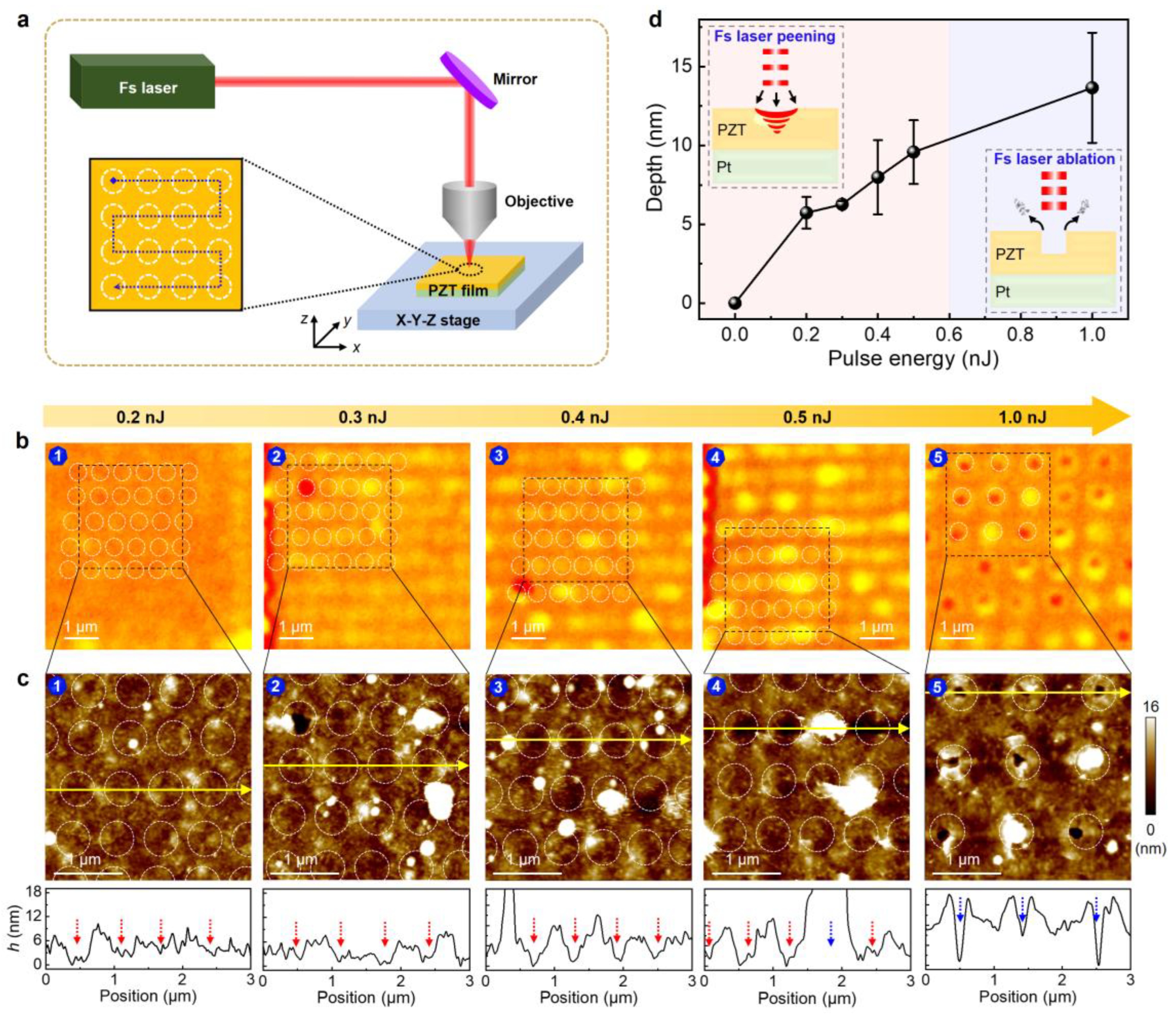 Preprints 172369 g002