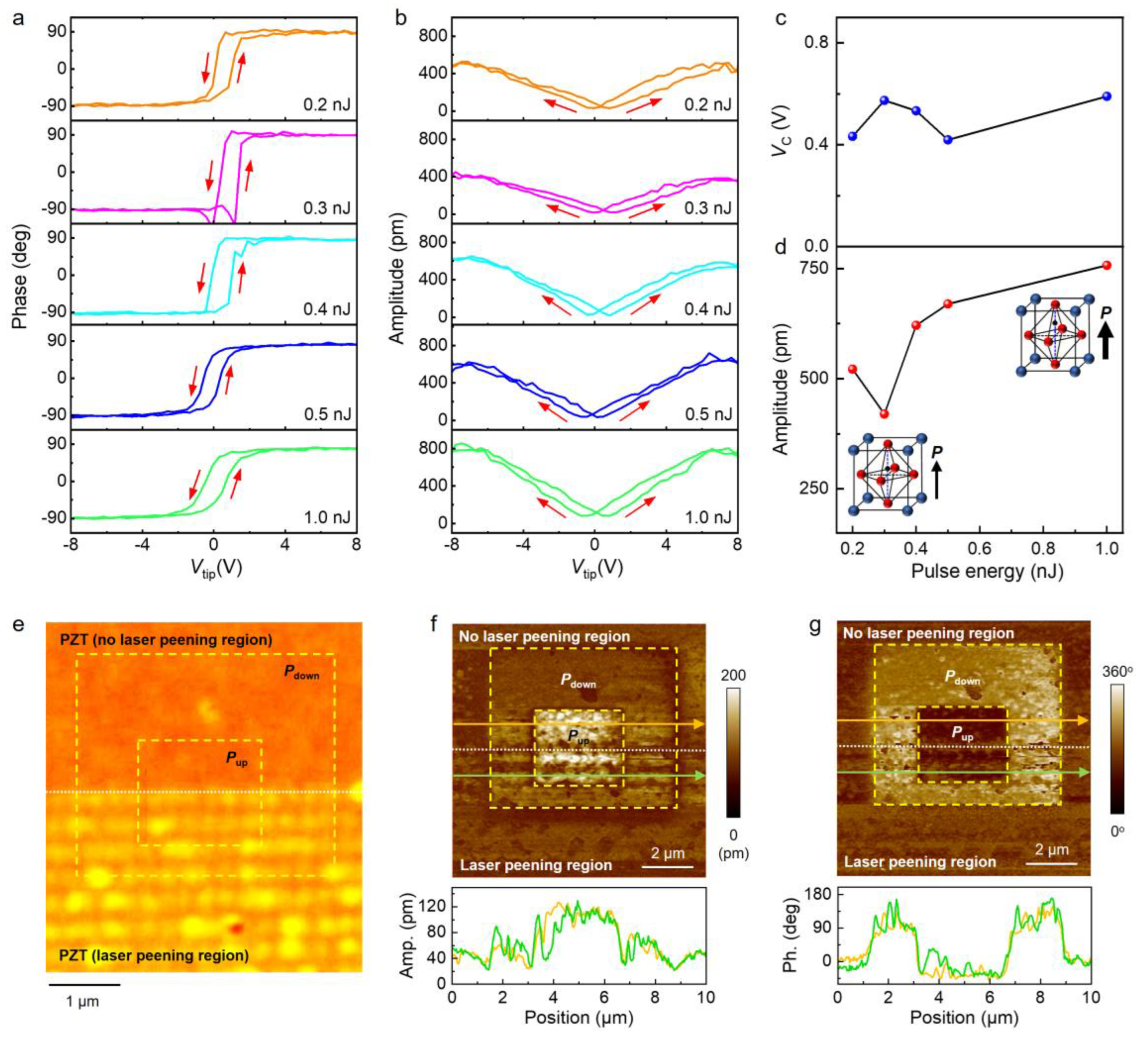 Preprints 172369 g003