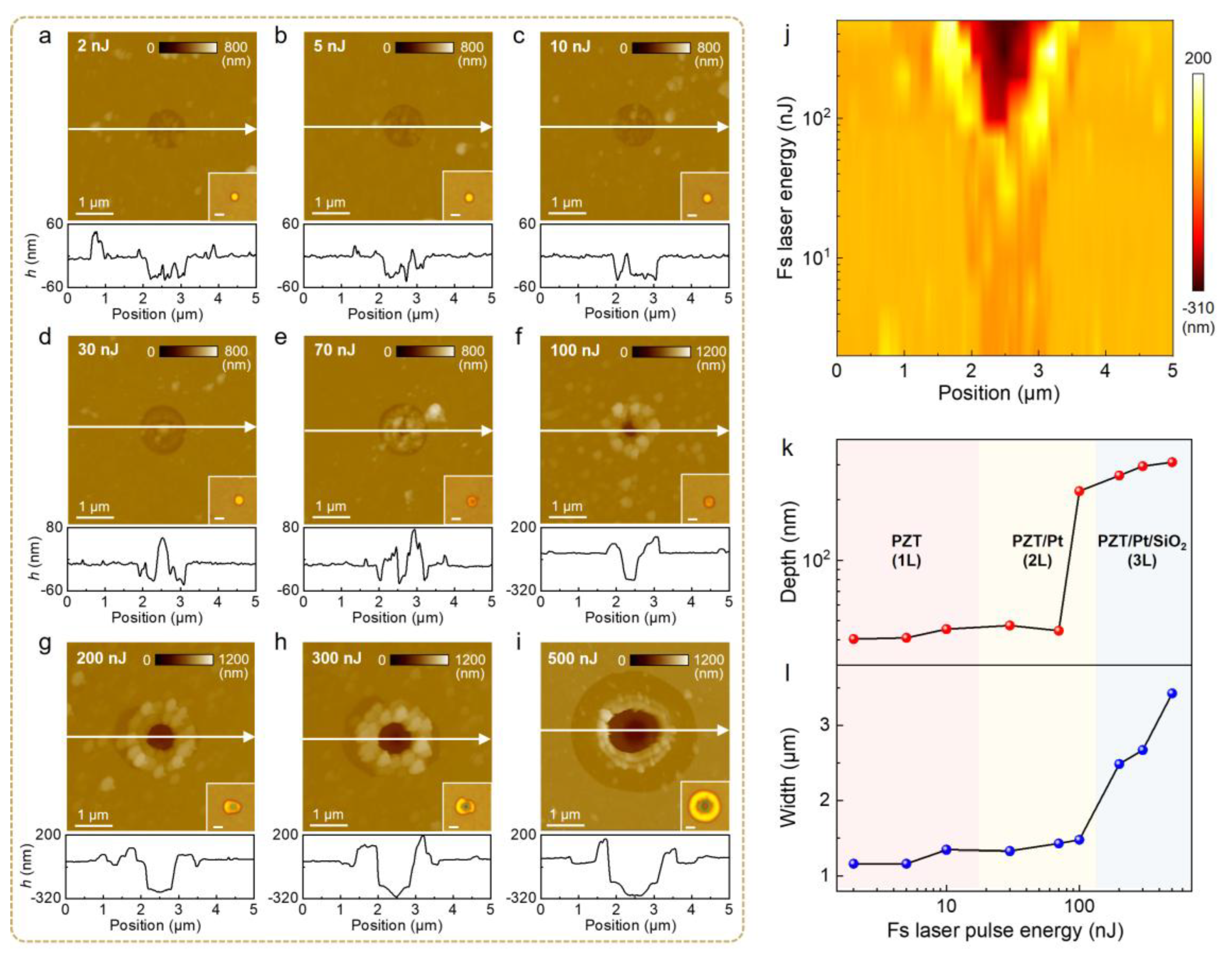 Preprints 172369 g005