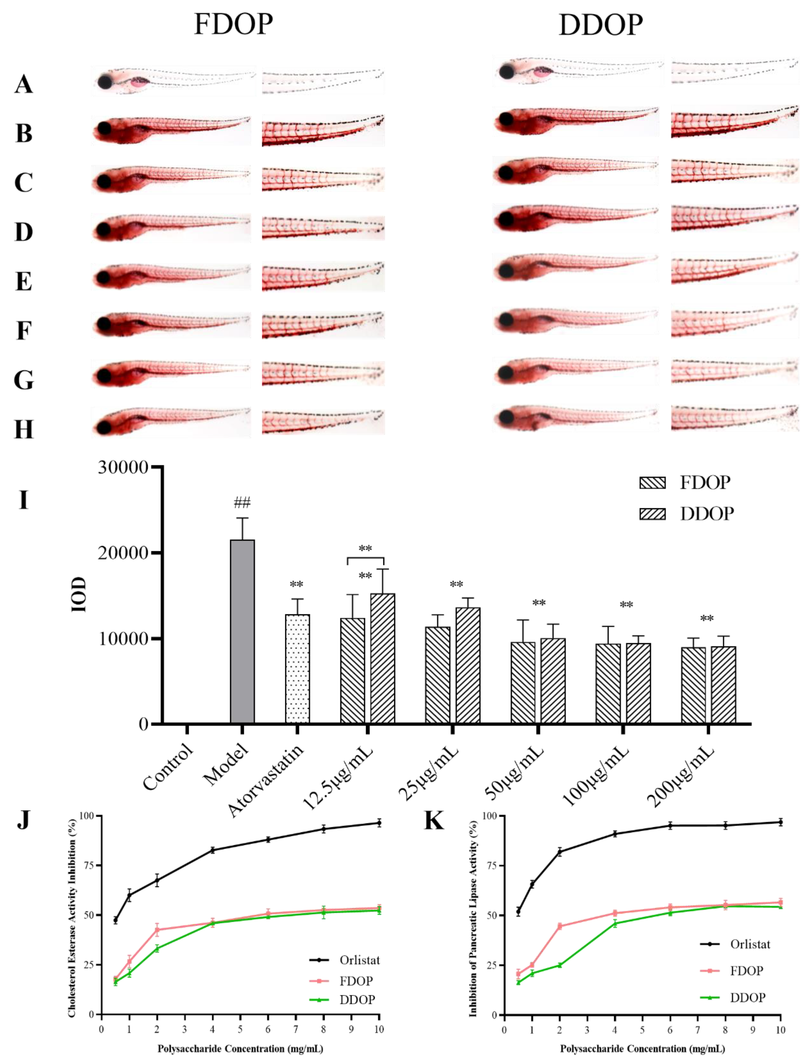 Preprints 192505 g006