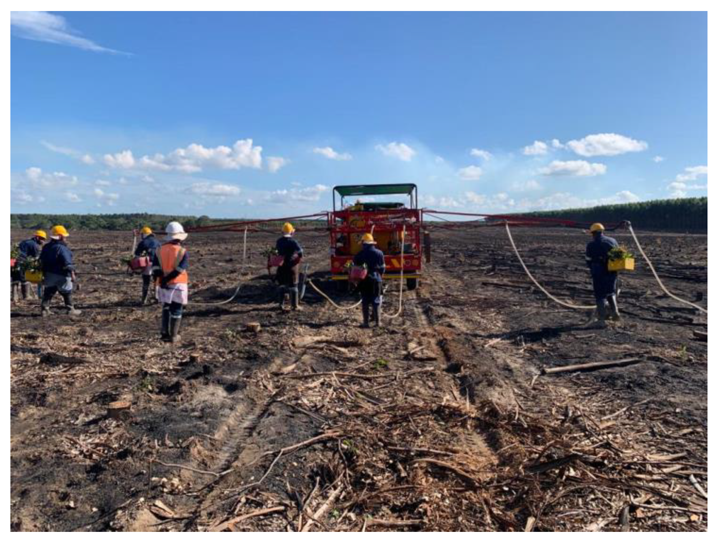 Preprints 68356 g017