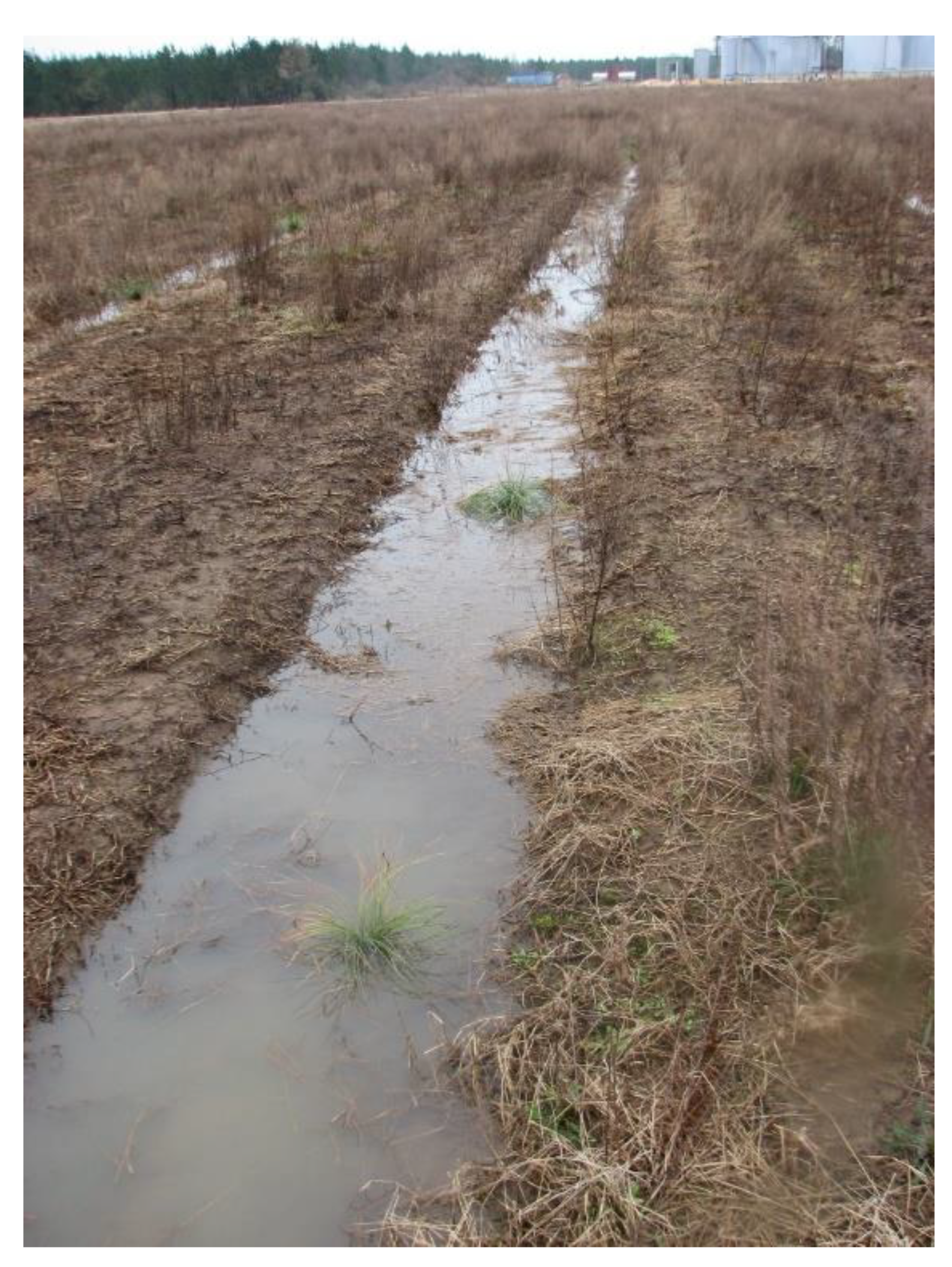 Preprints 68356 g025