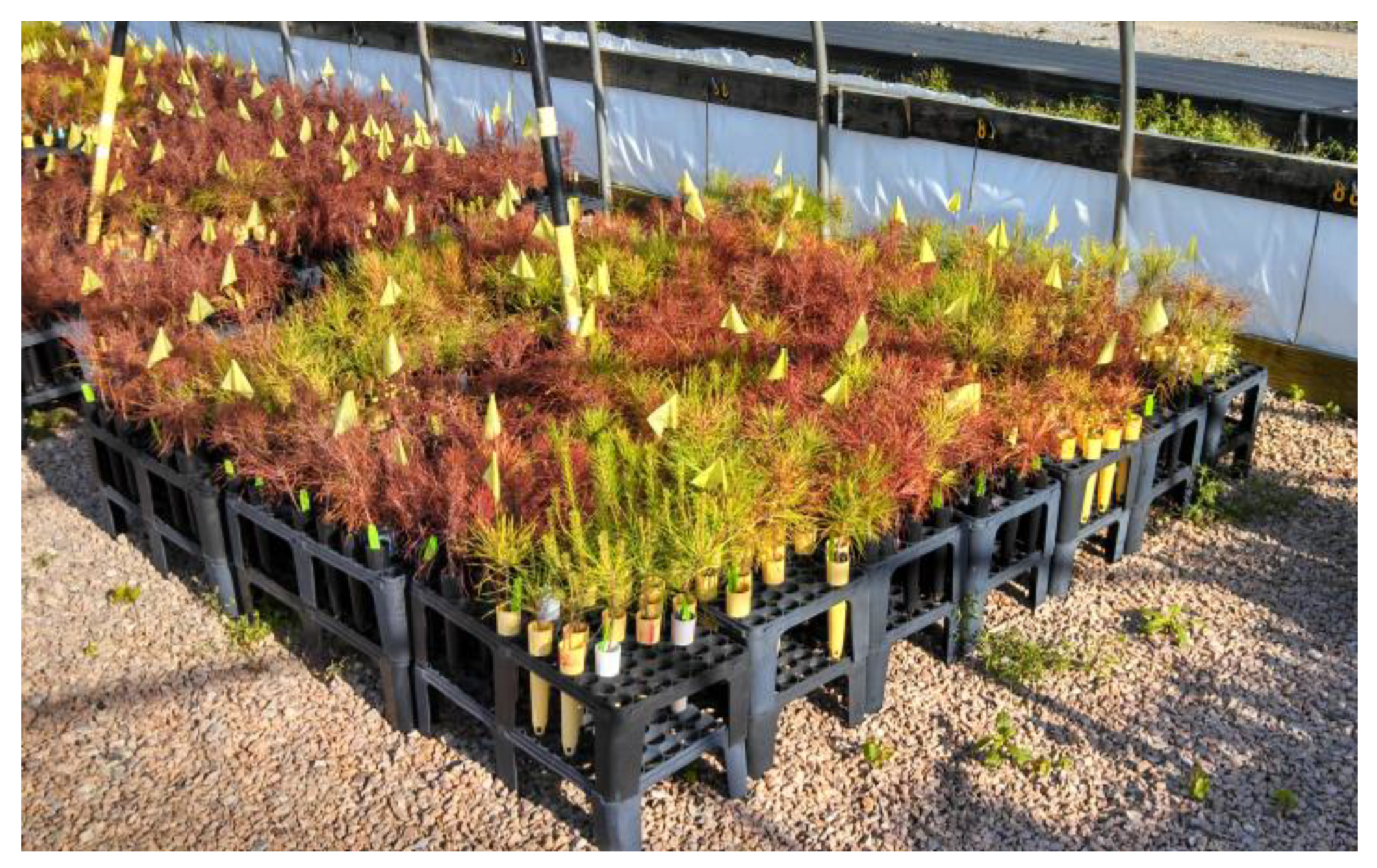 Preprints 68356 g032