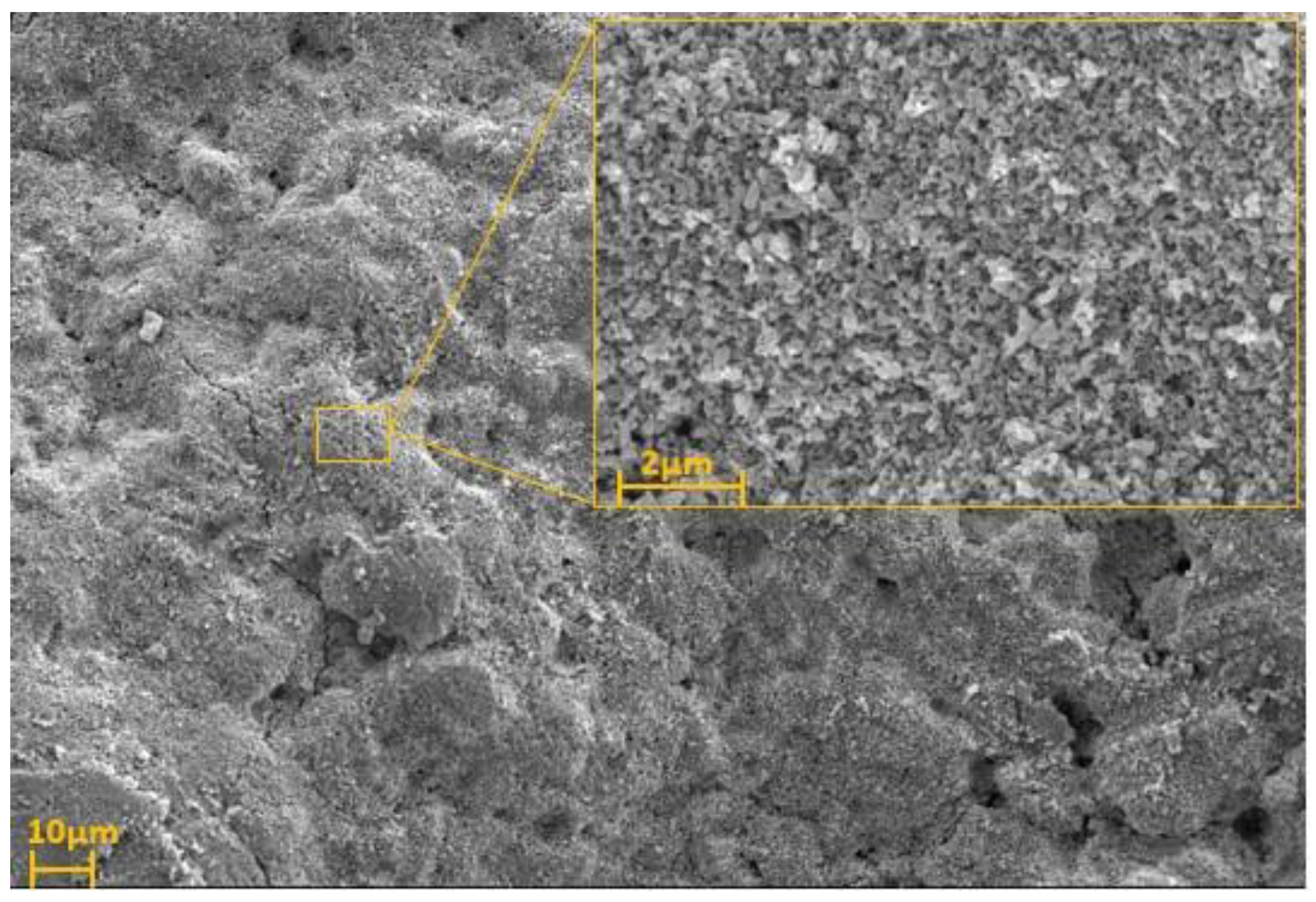 Preprints 199081 g012