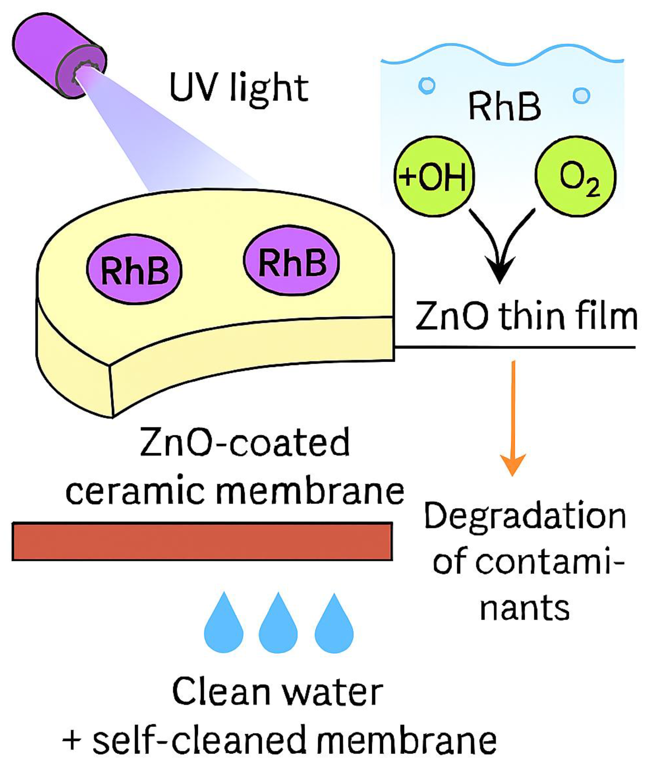 Preprints 199081 g014