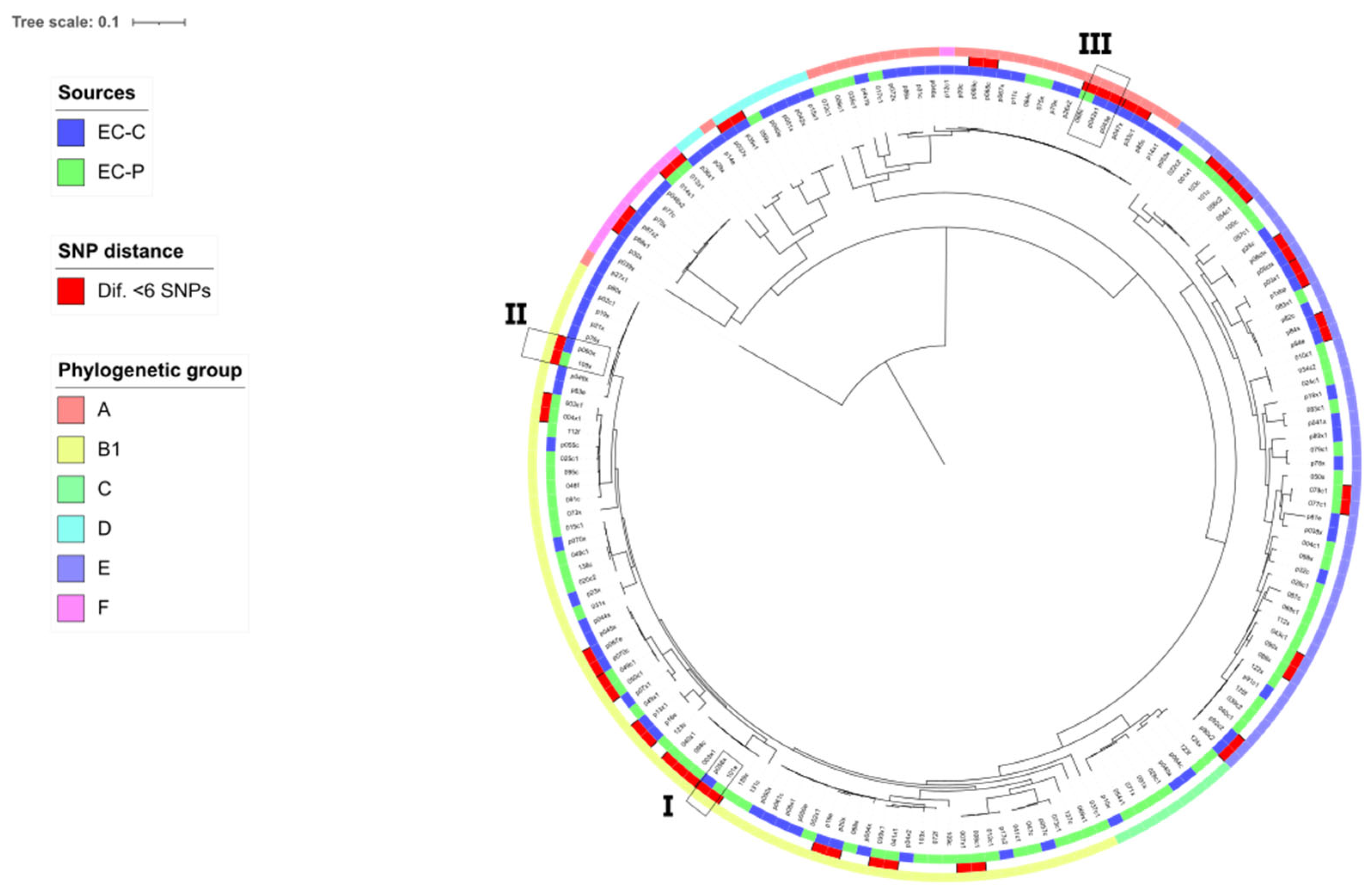 Preprints 204666 g005