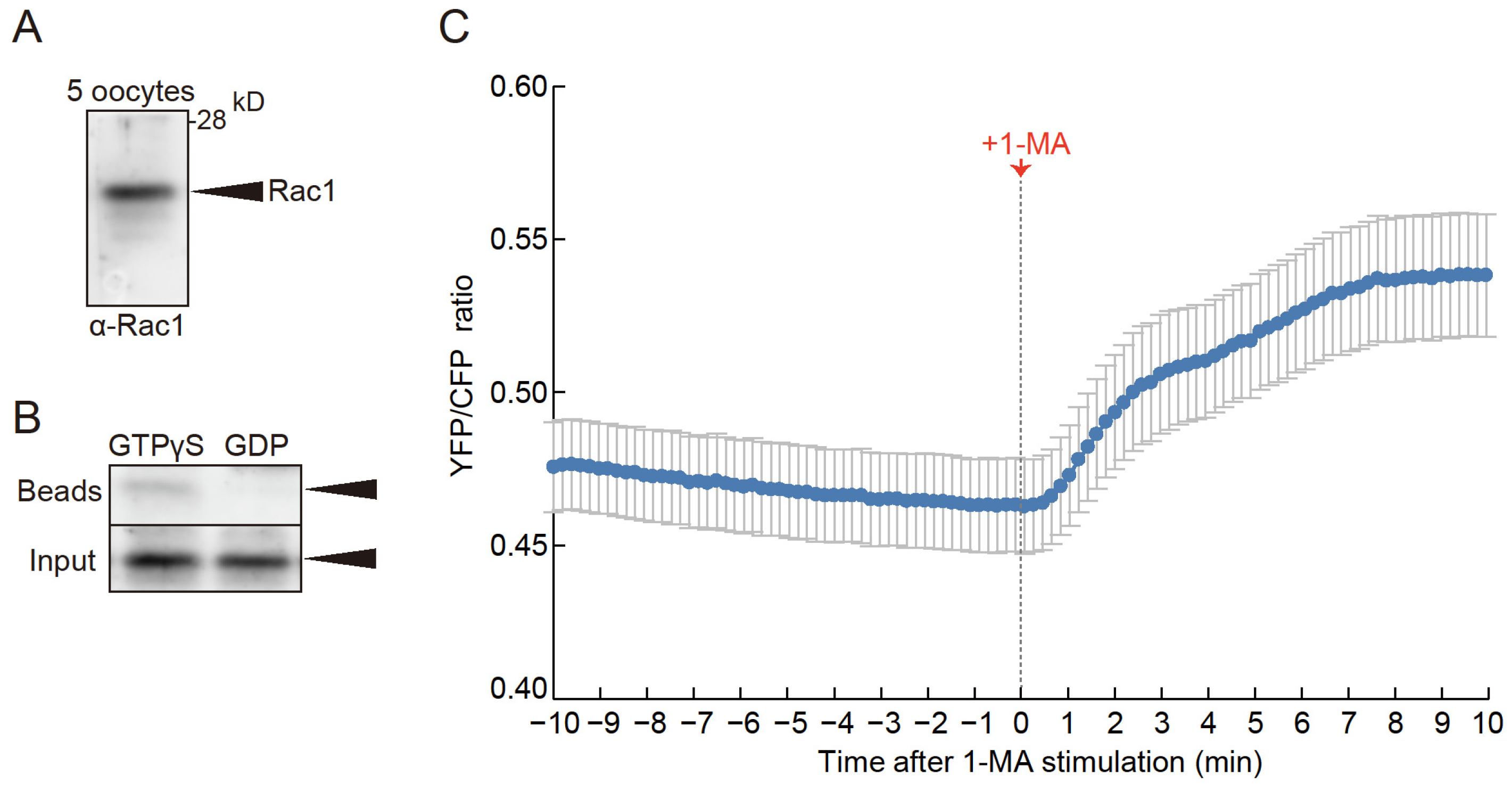 Preprints 145720 g002
