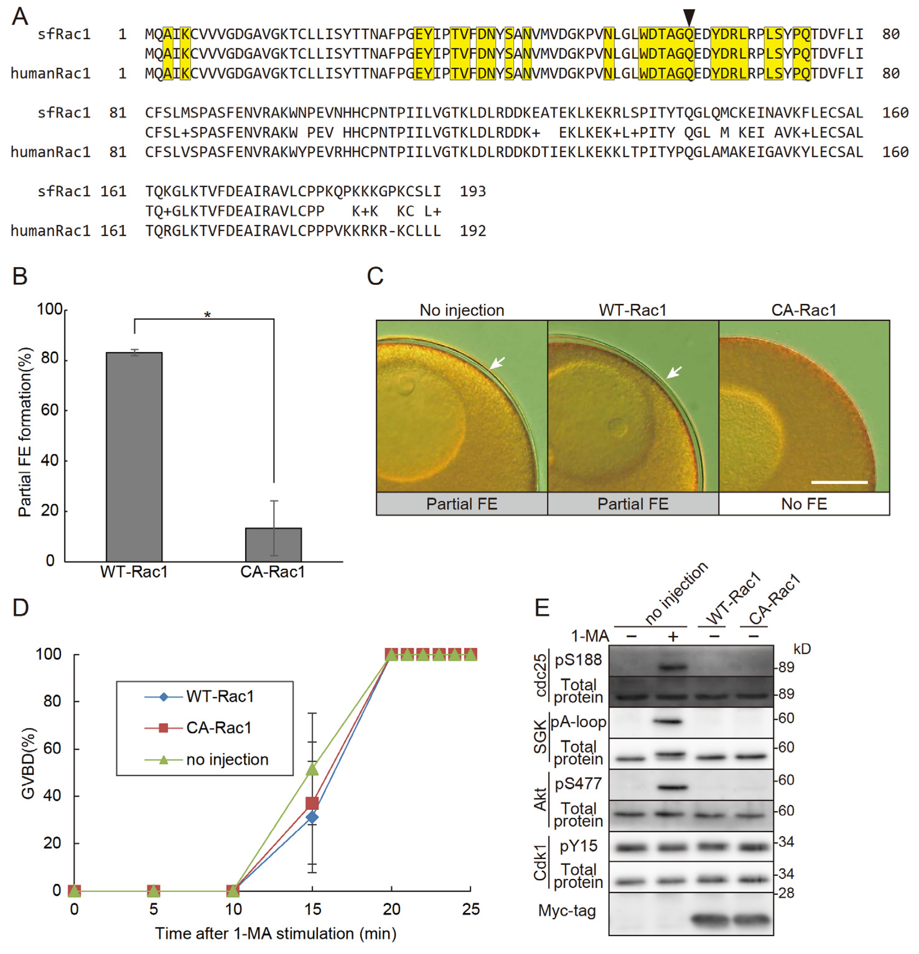 Preprints 145720 g003